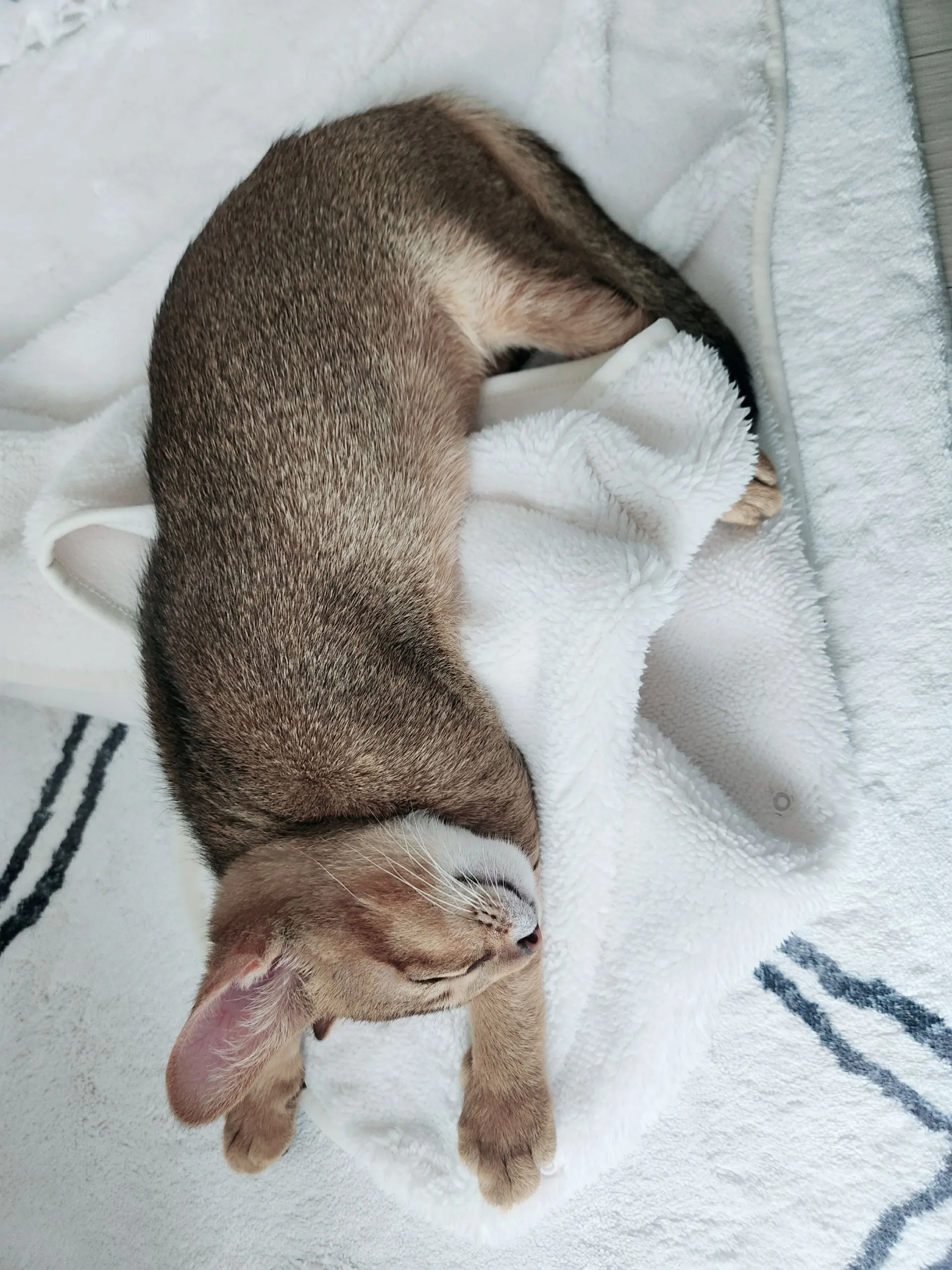 4번째 파일