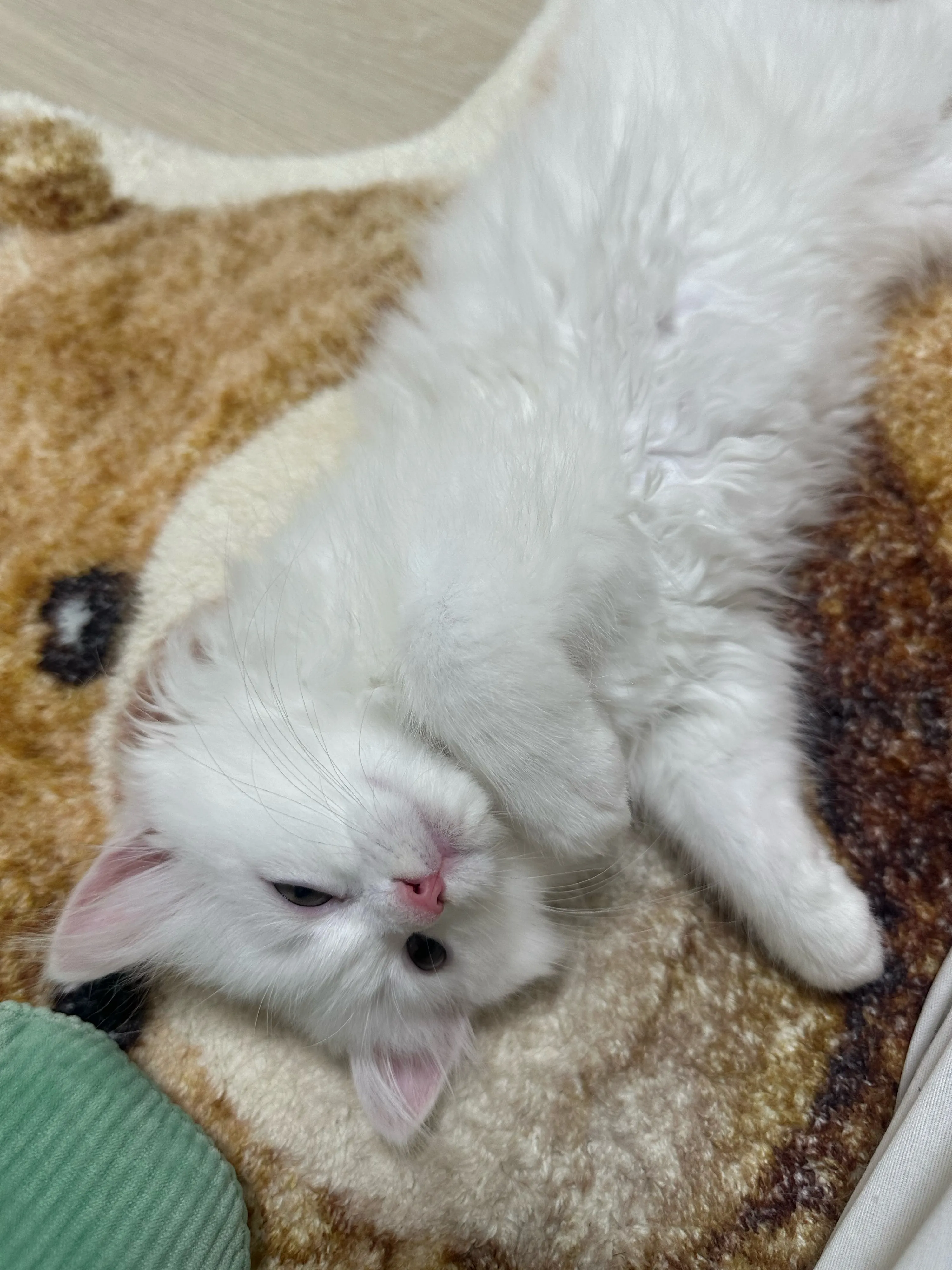 1번째 파일