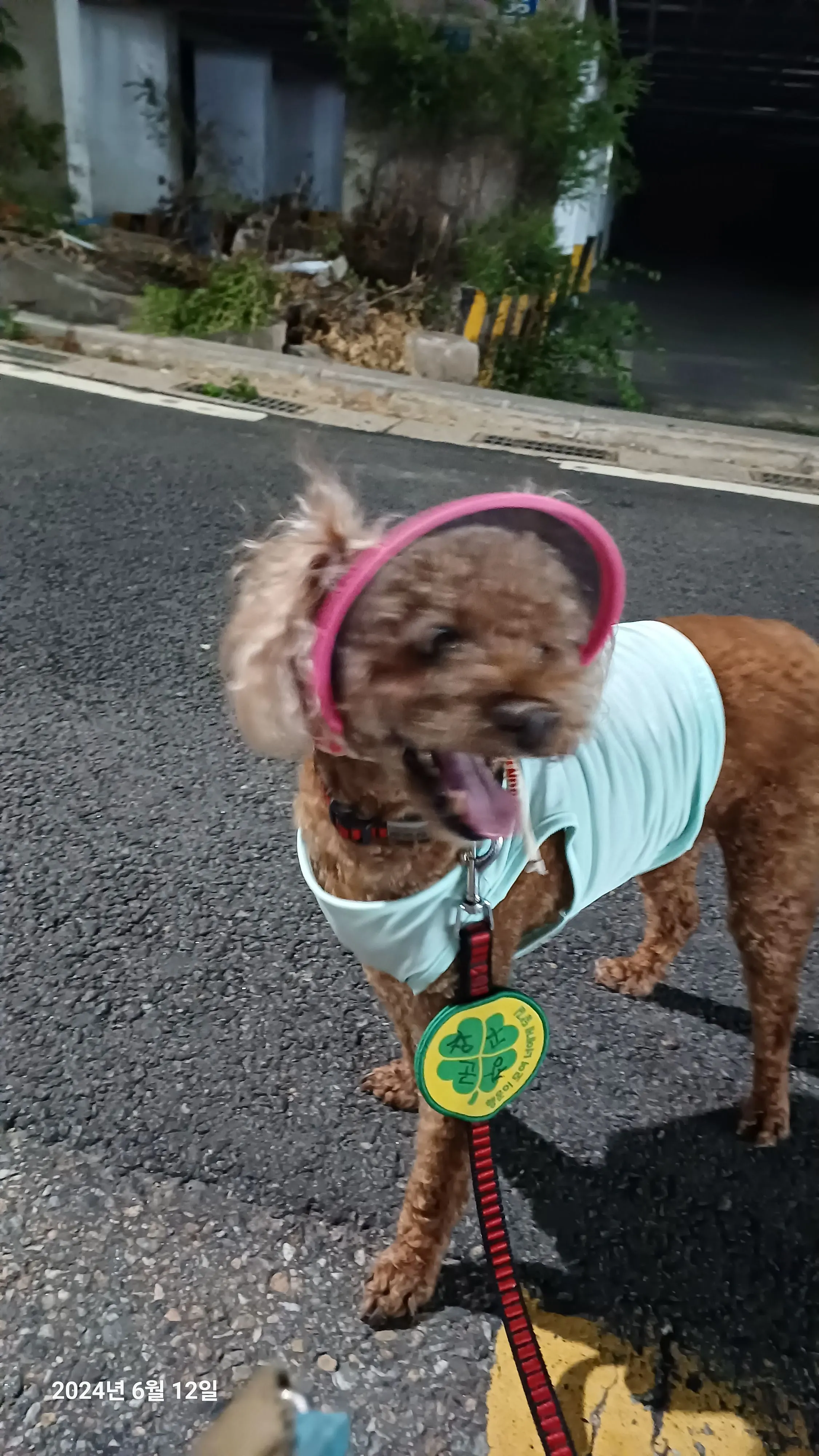 1번째 파일