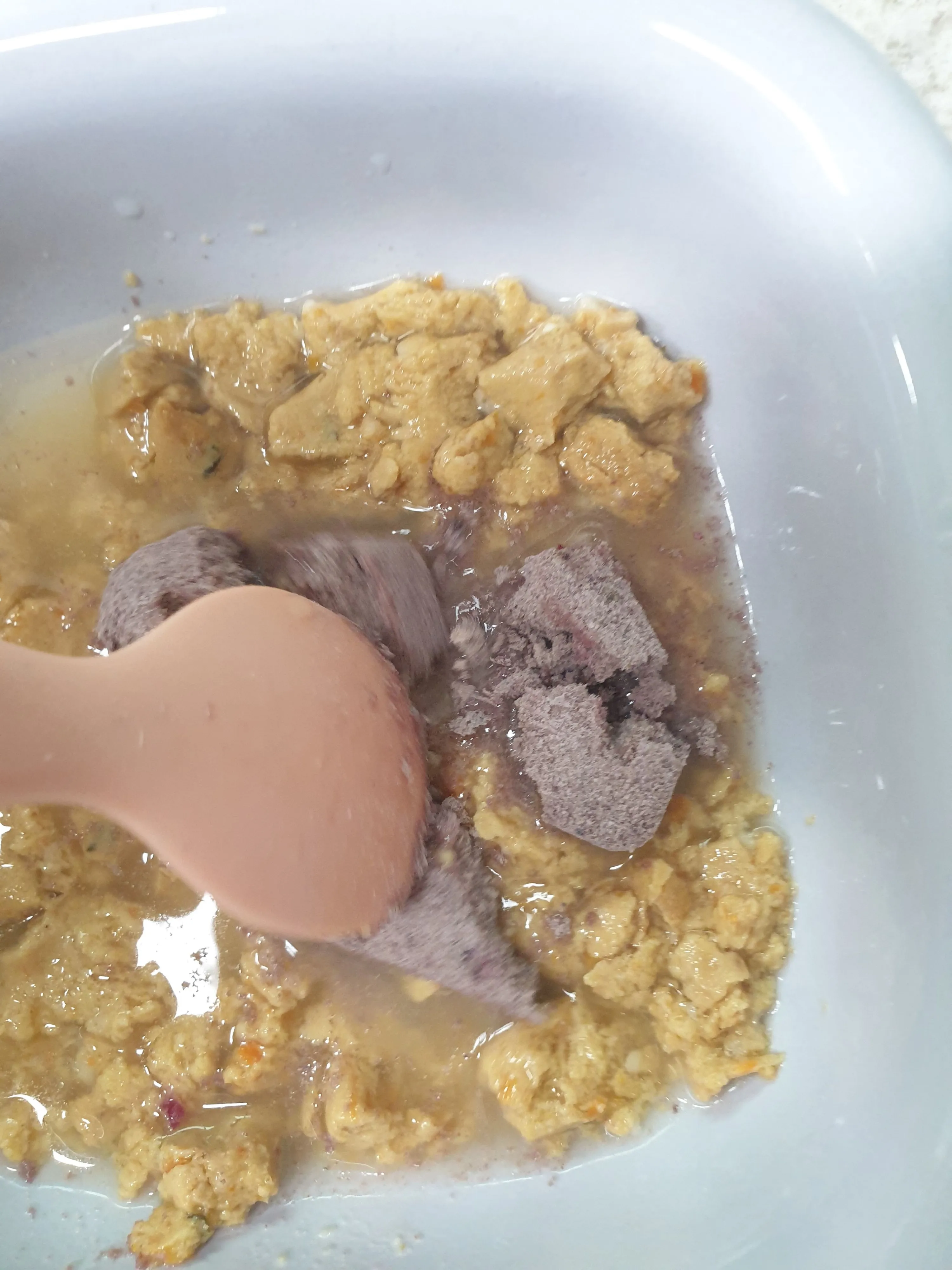 집사생활(커뮤니티) 여행갈 때 딱 좋은 실온보관 | 반려동물 1등 쇼핑몰 - 펫프렌즈