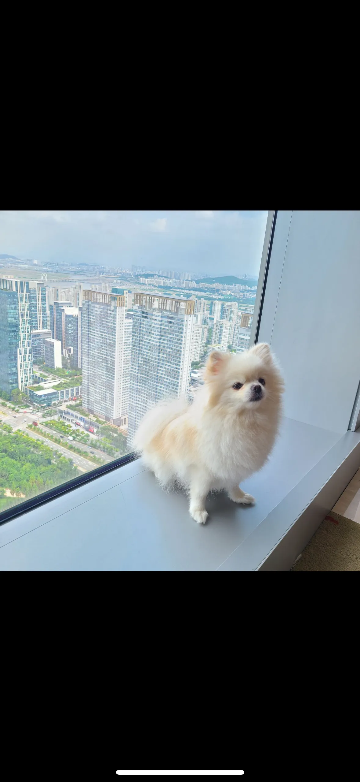 2번째 파일