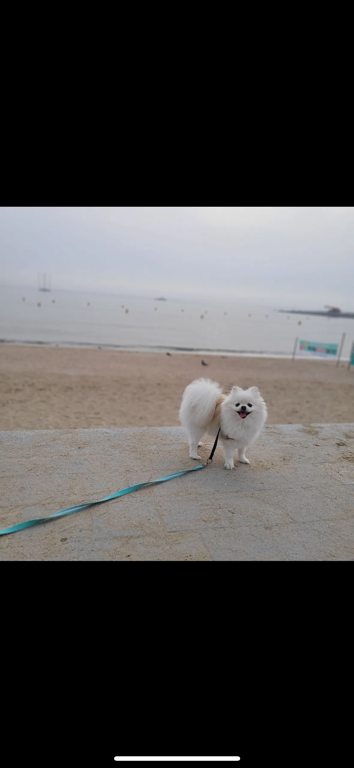 4번째 파일