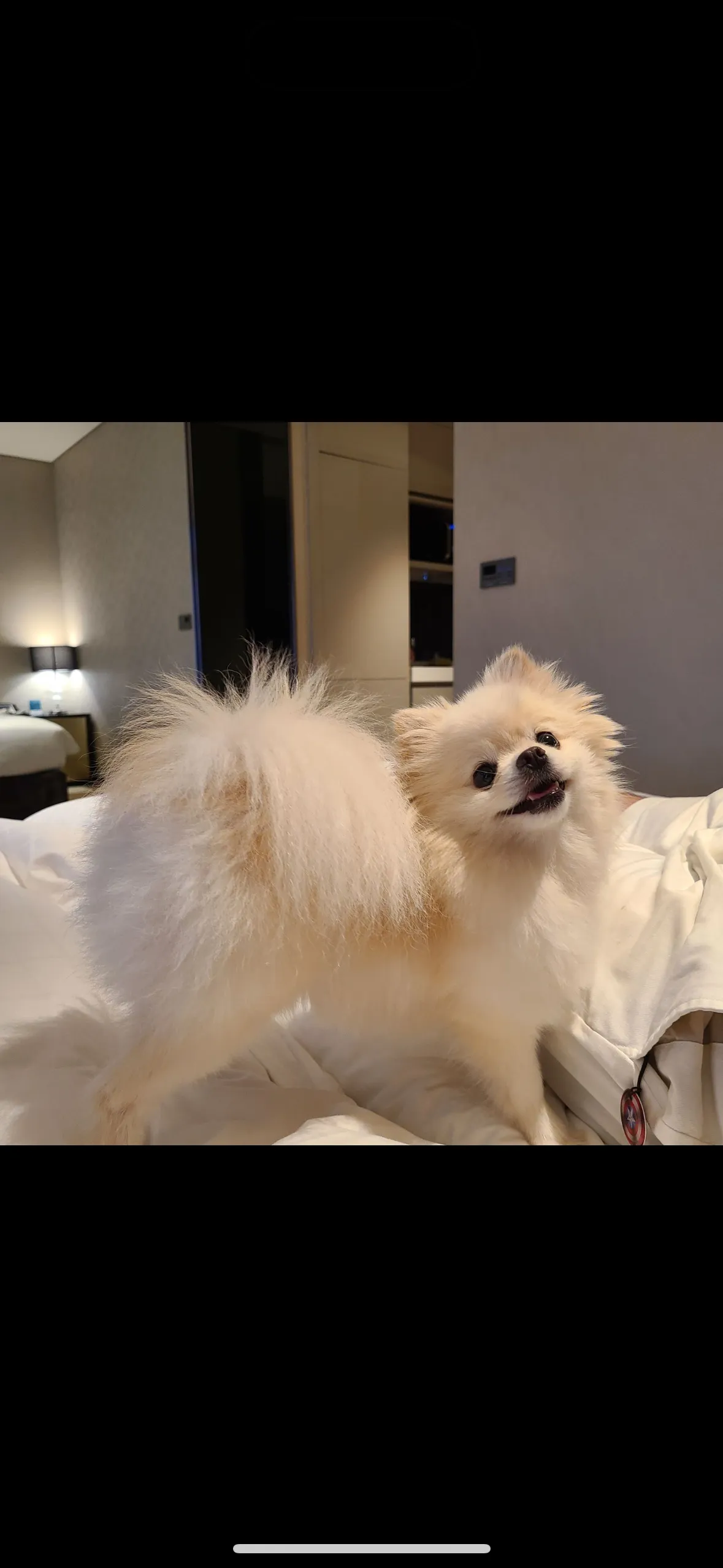 1번째 파일