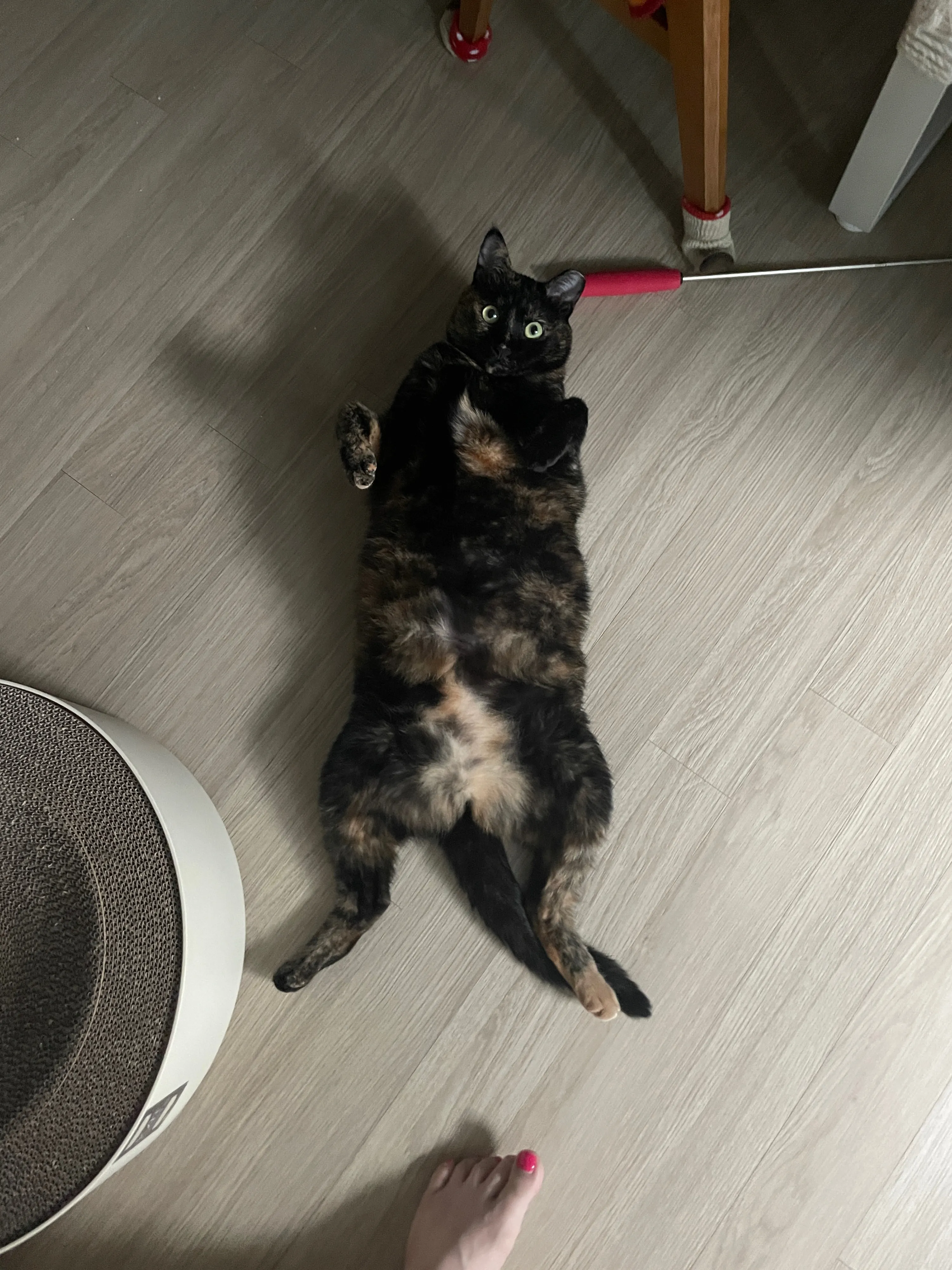 1번째 파일