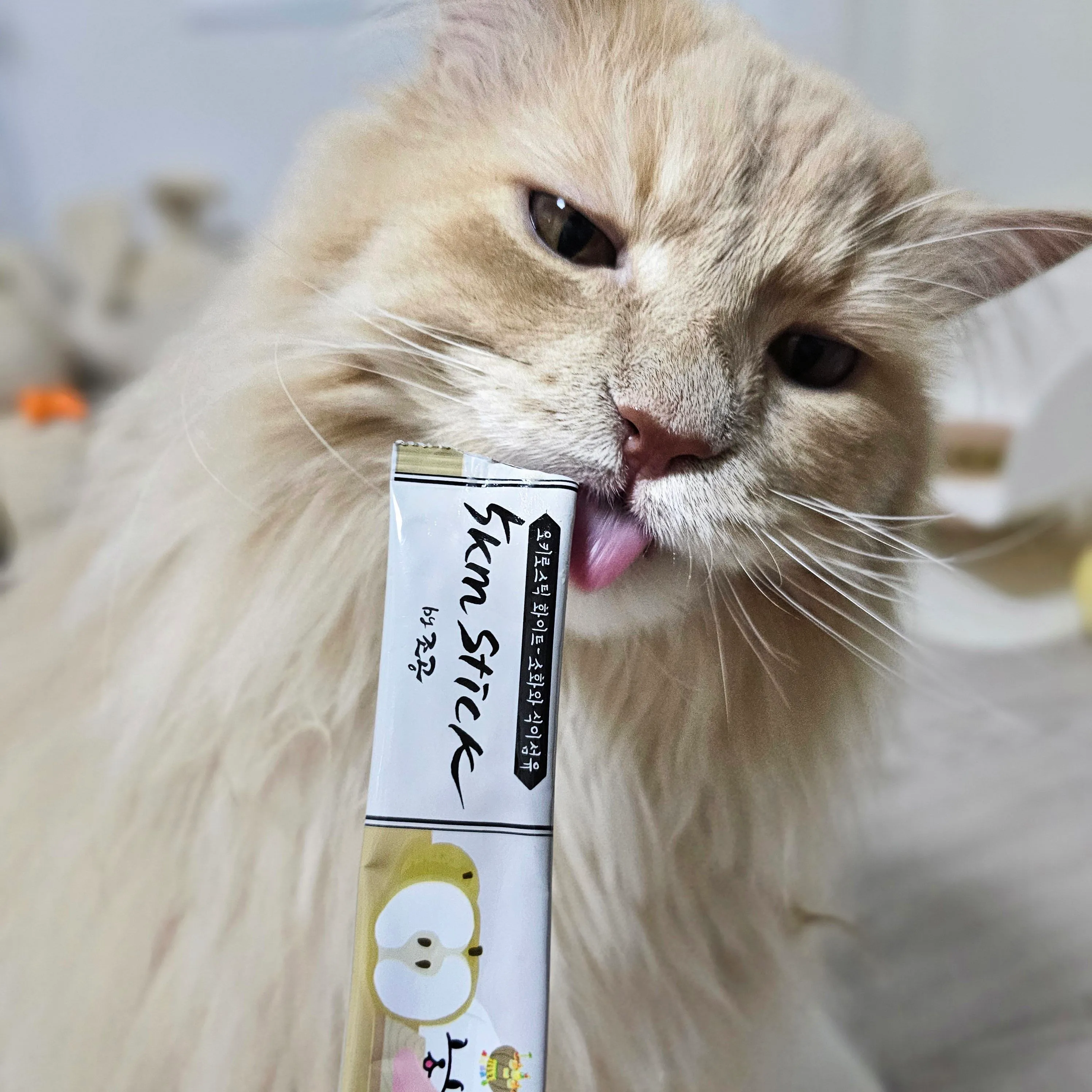 5번째 파일