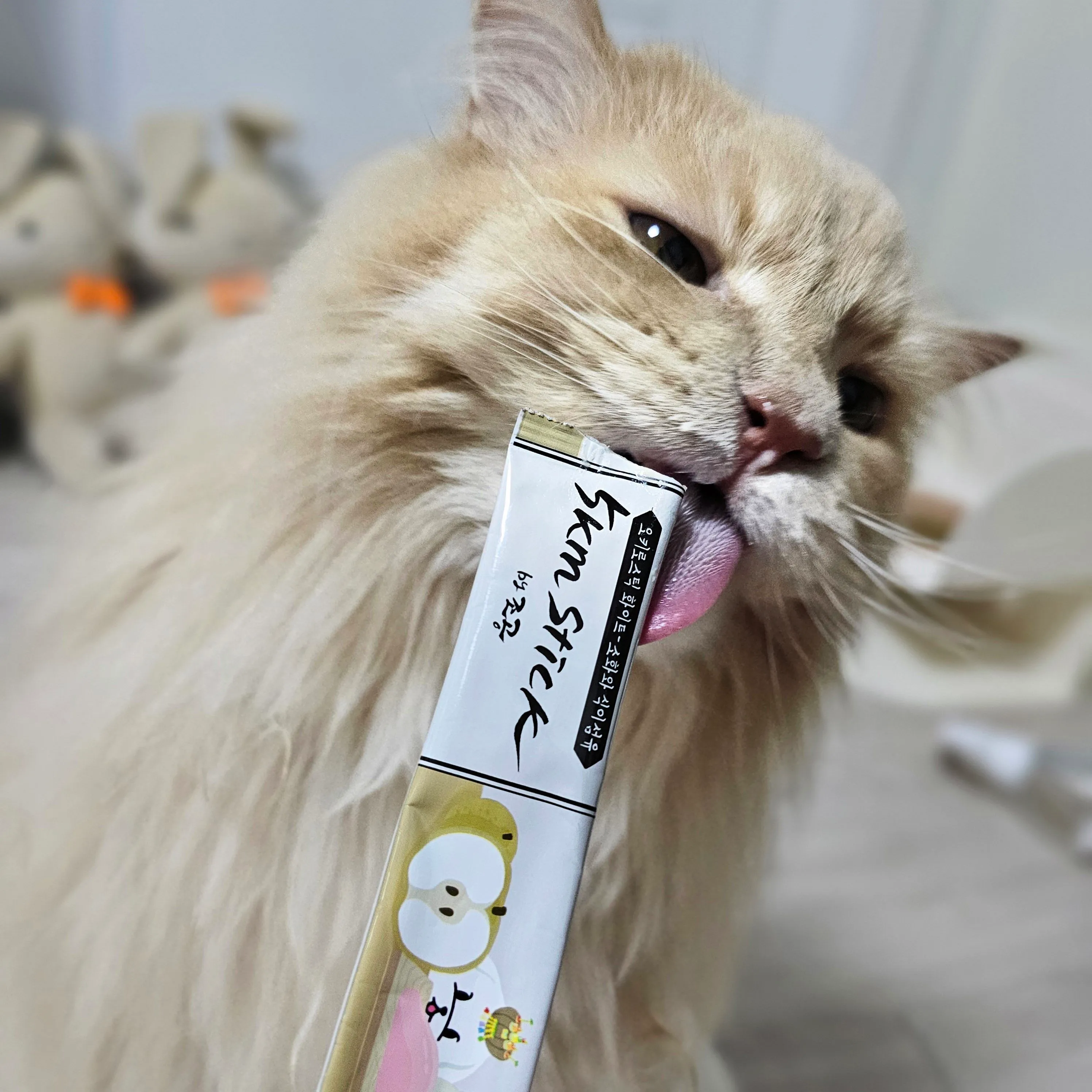 3번째 파일