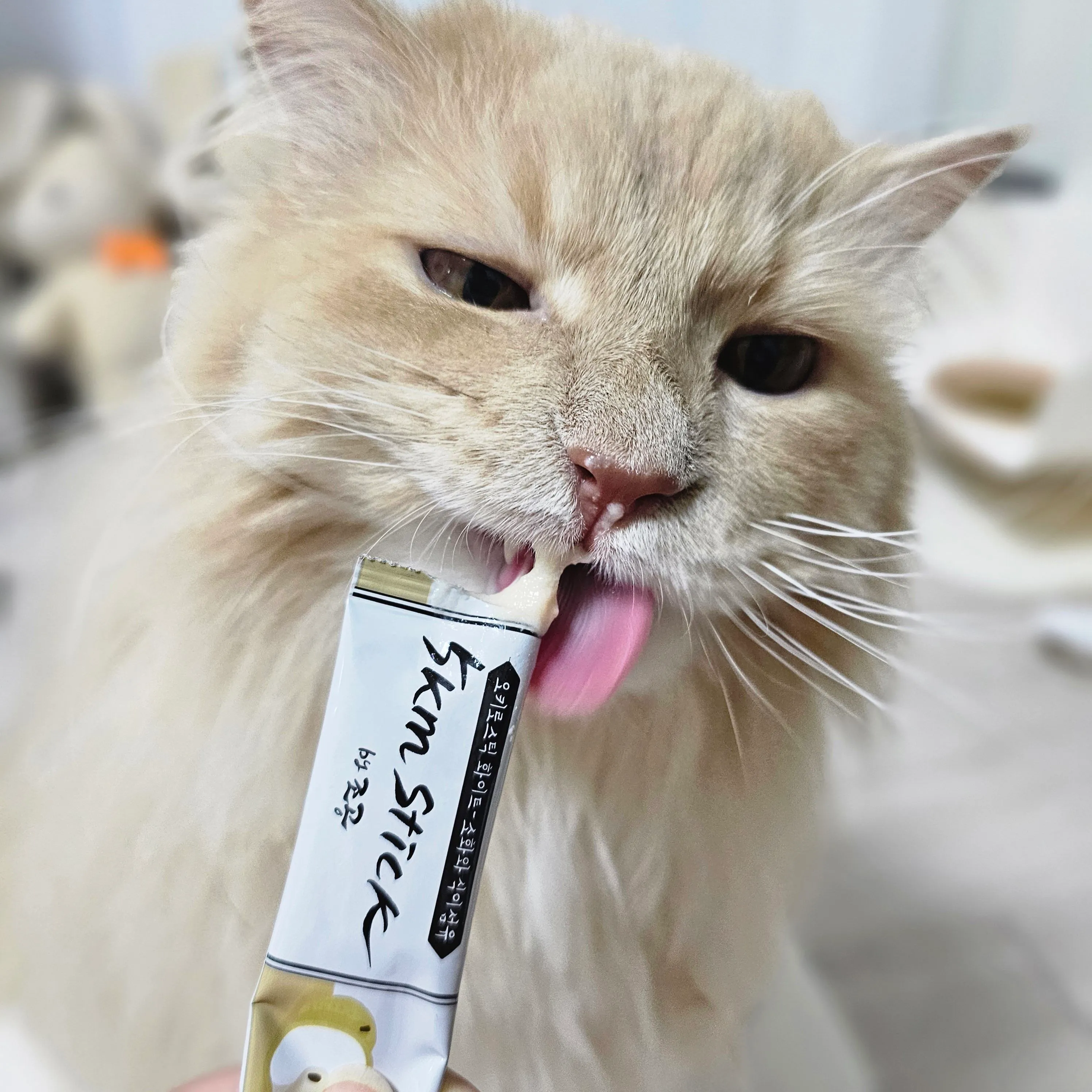 4번째 파일