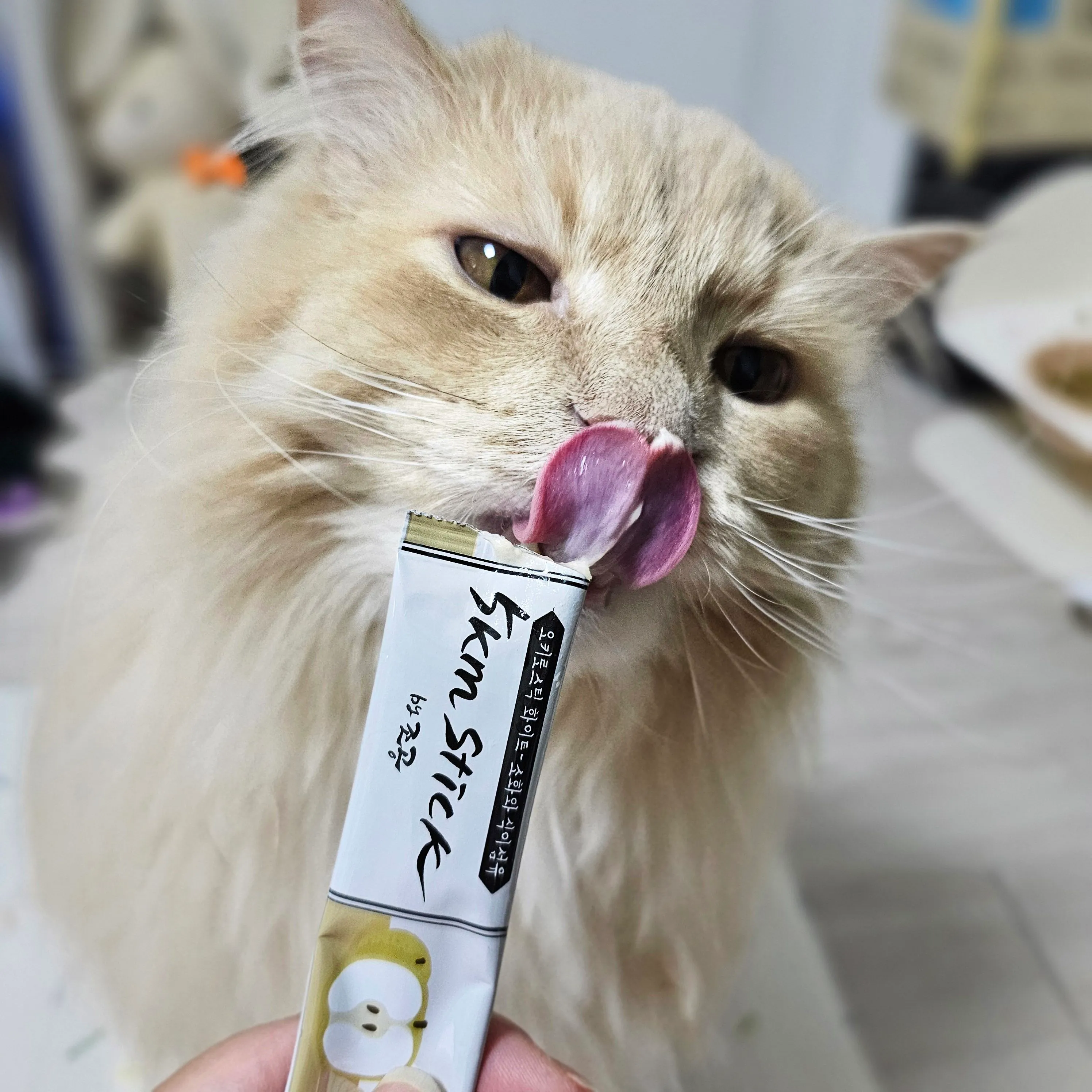 1번째 파일