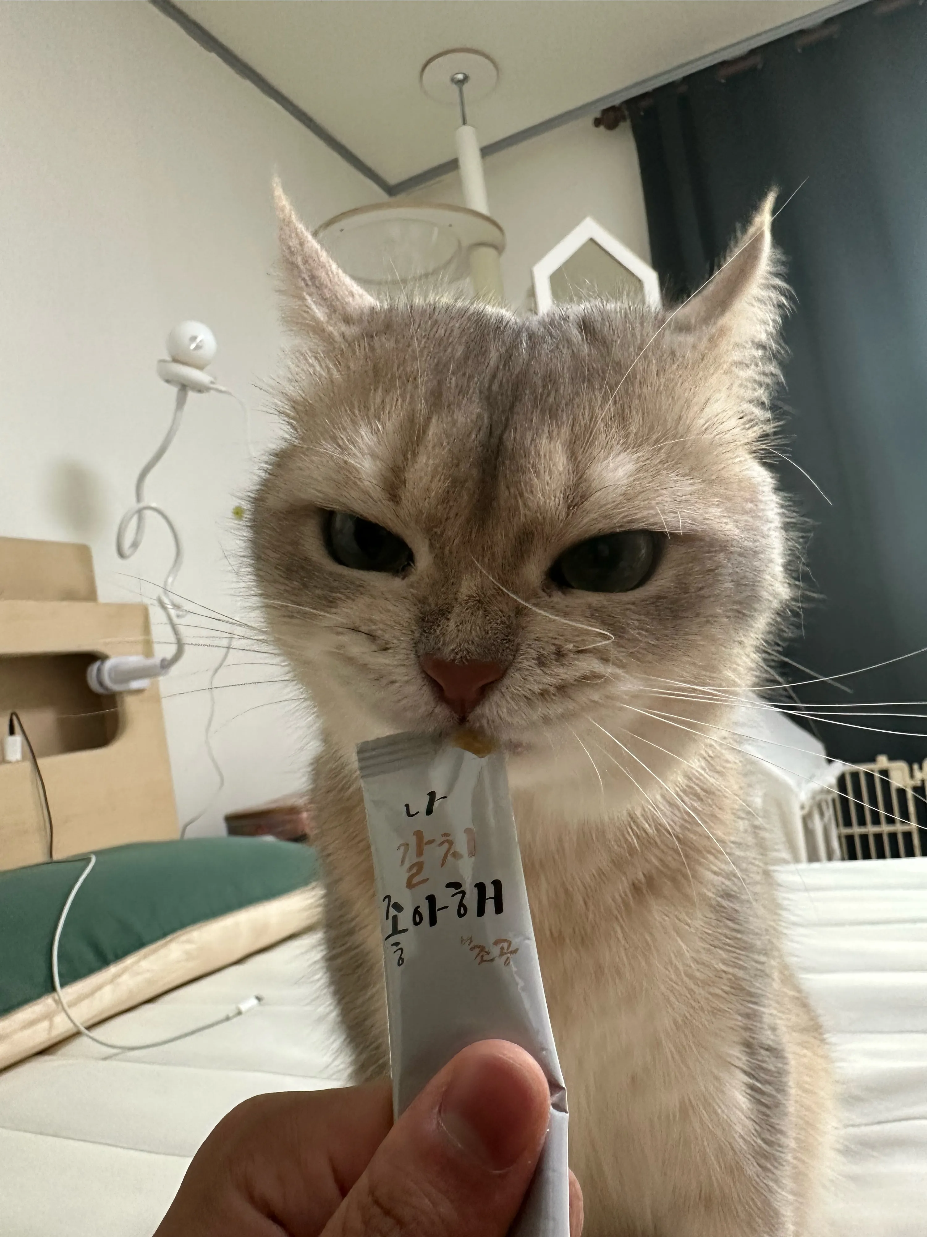 2번째 파일