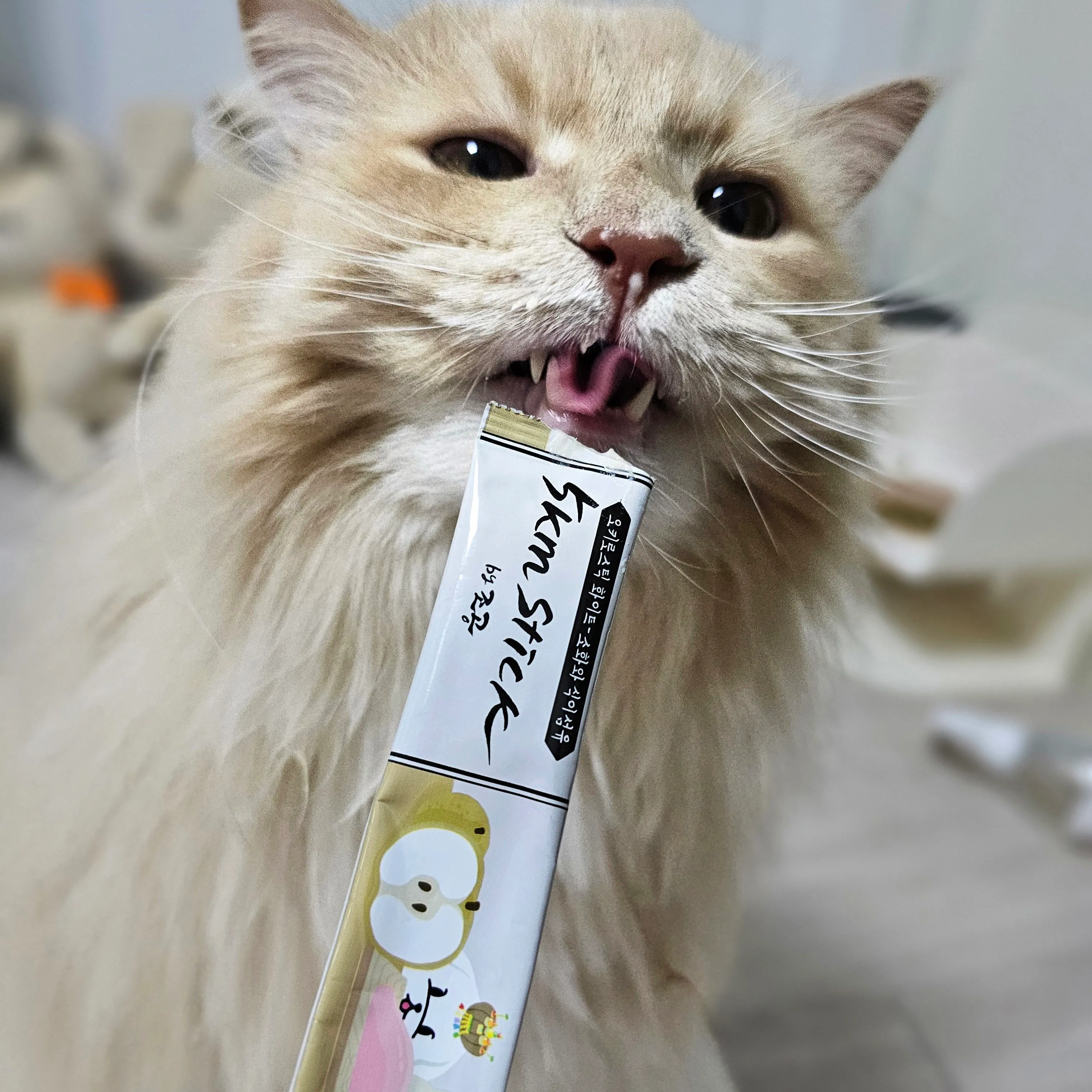 2번째 파일