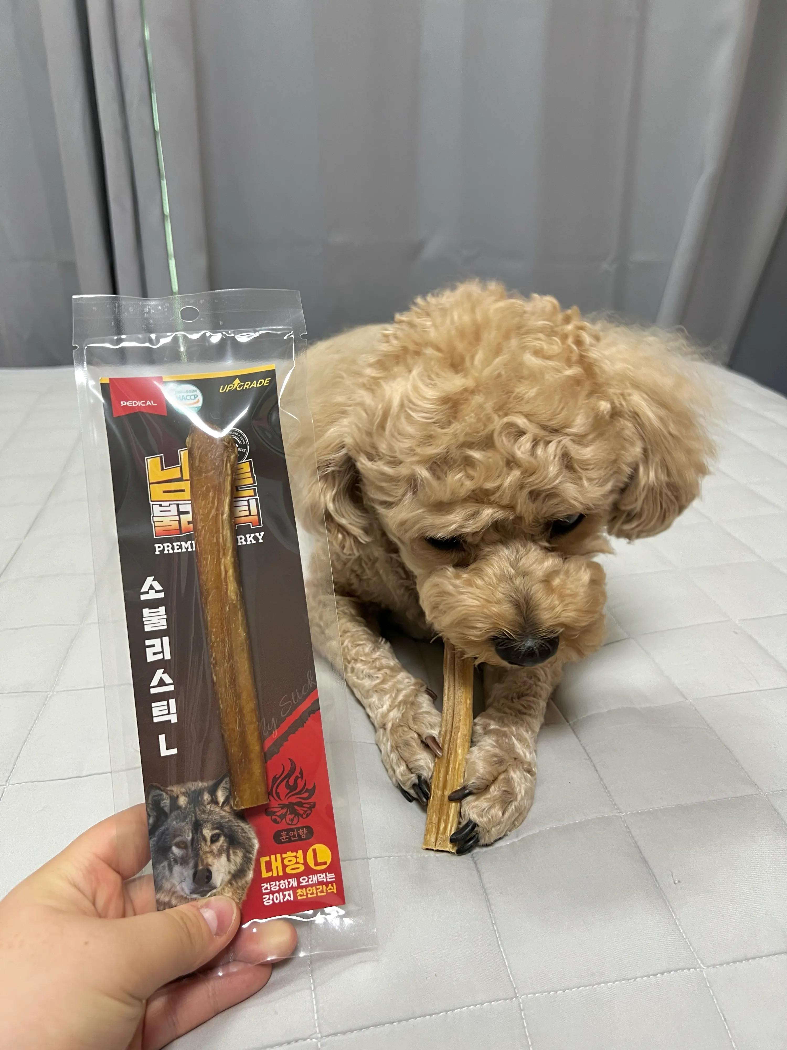 3번째 파일
