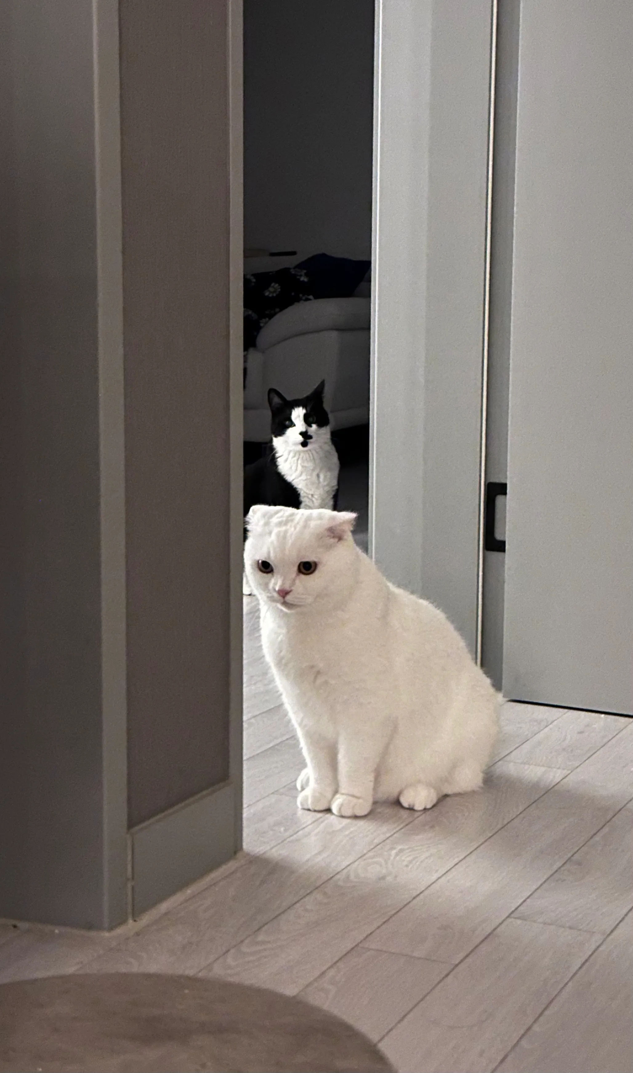3번째 파일