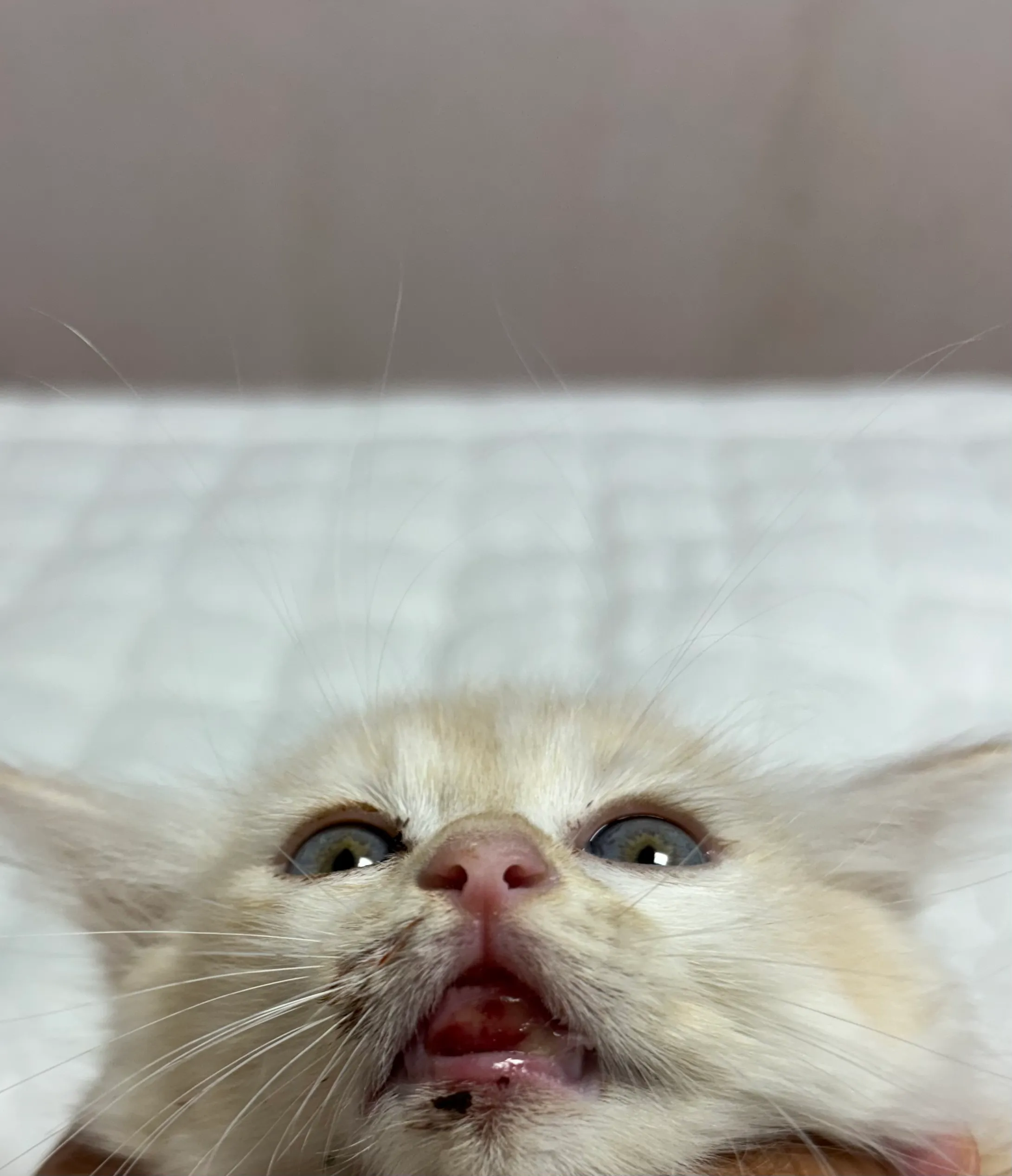 1번째 파일
