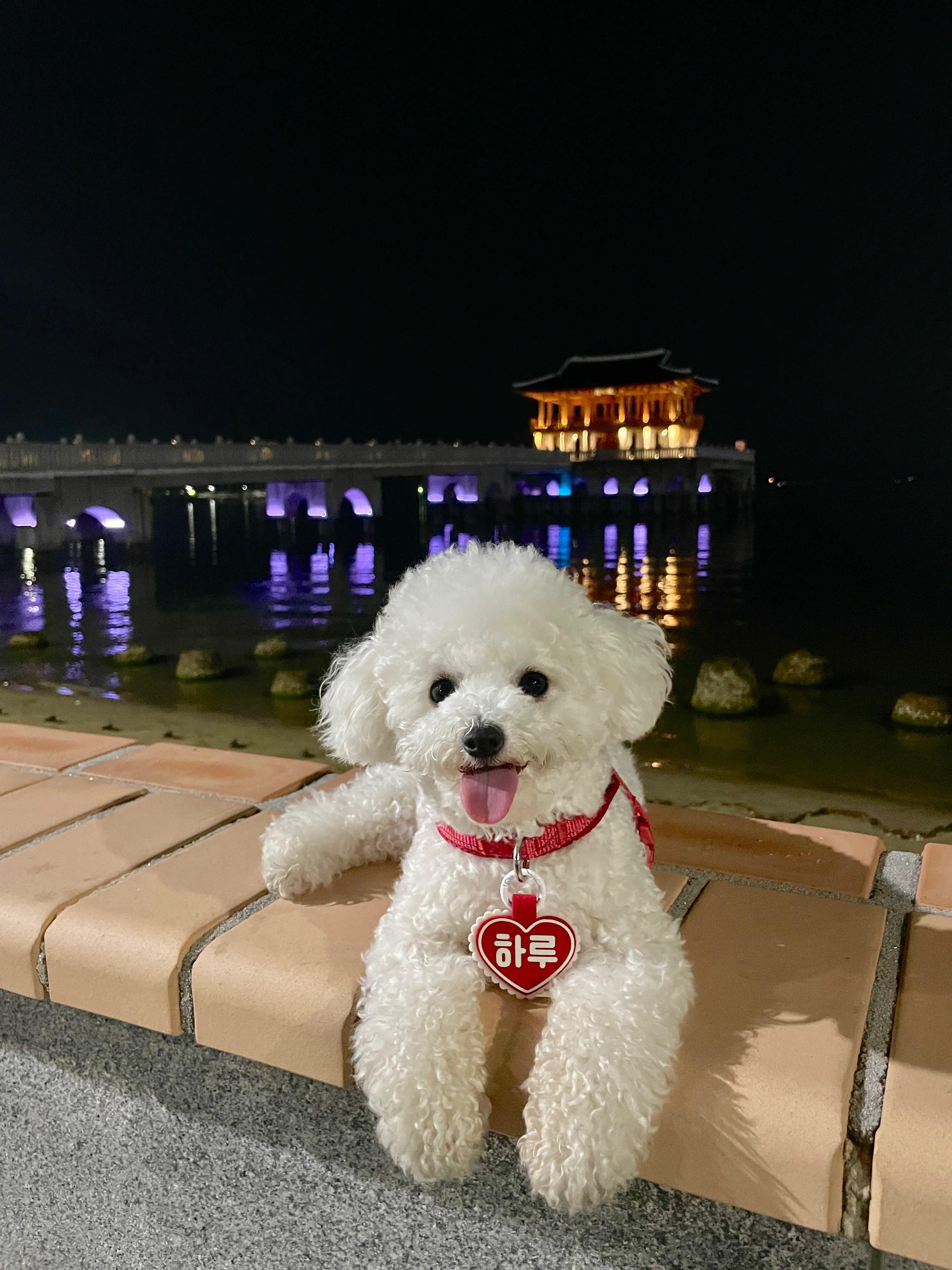 2번째 파일