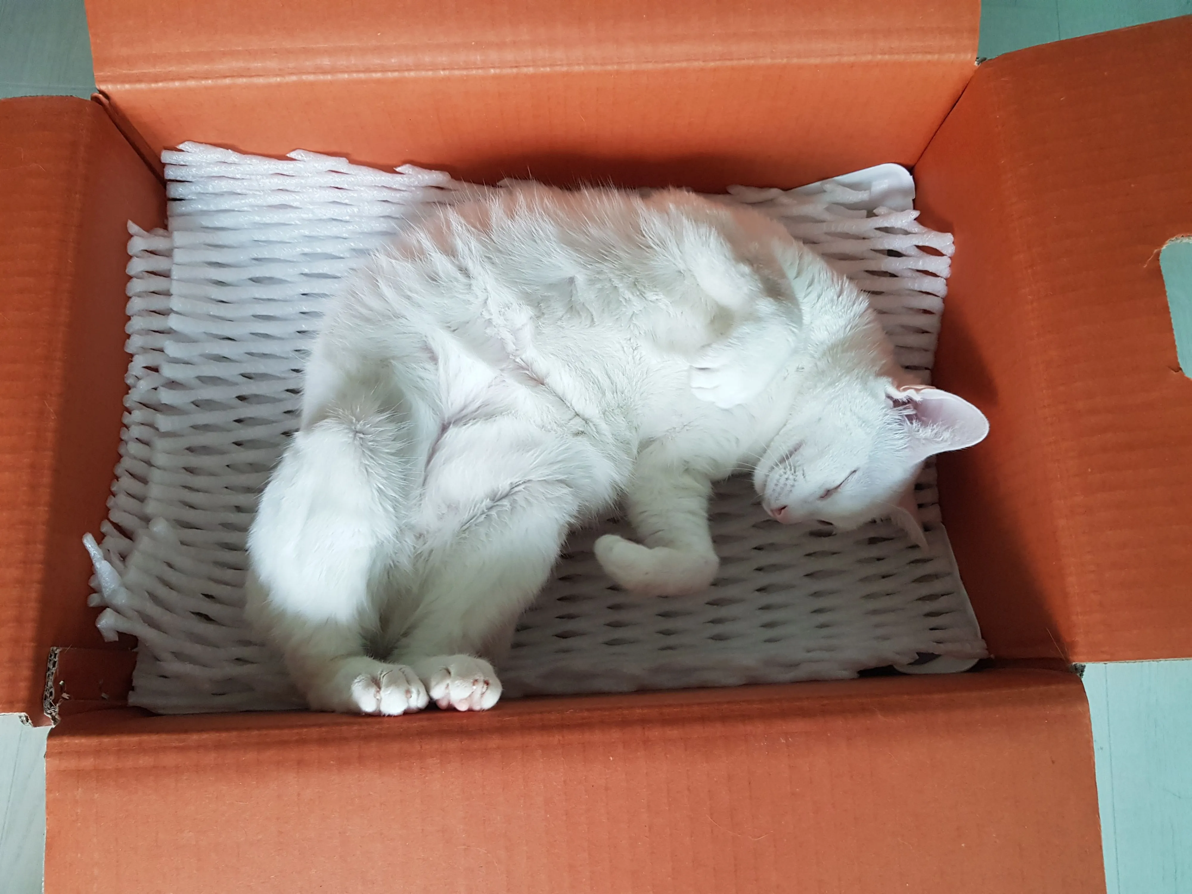 2번째 파일