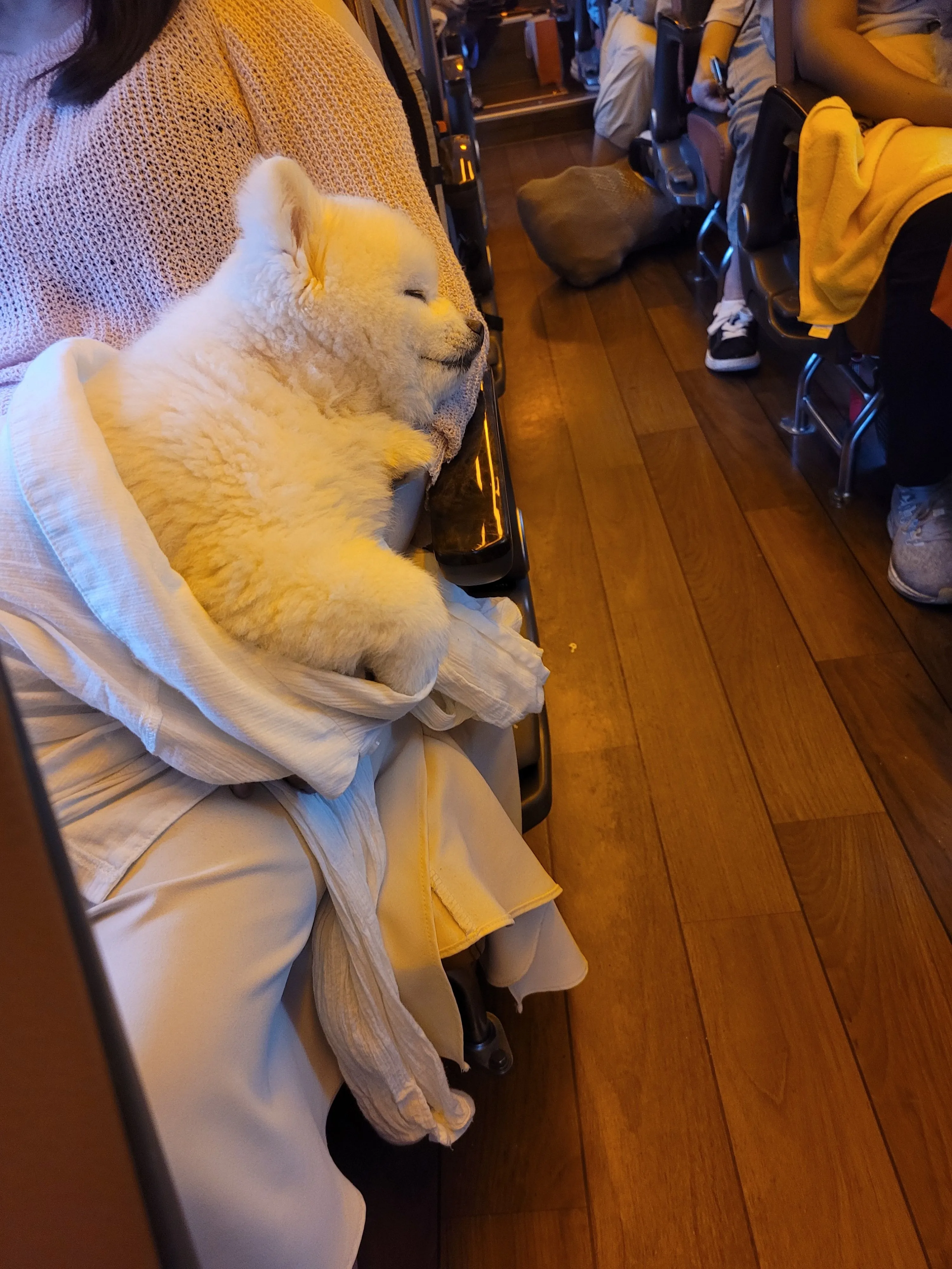 1번째 파일