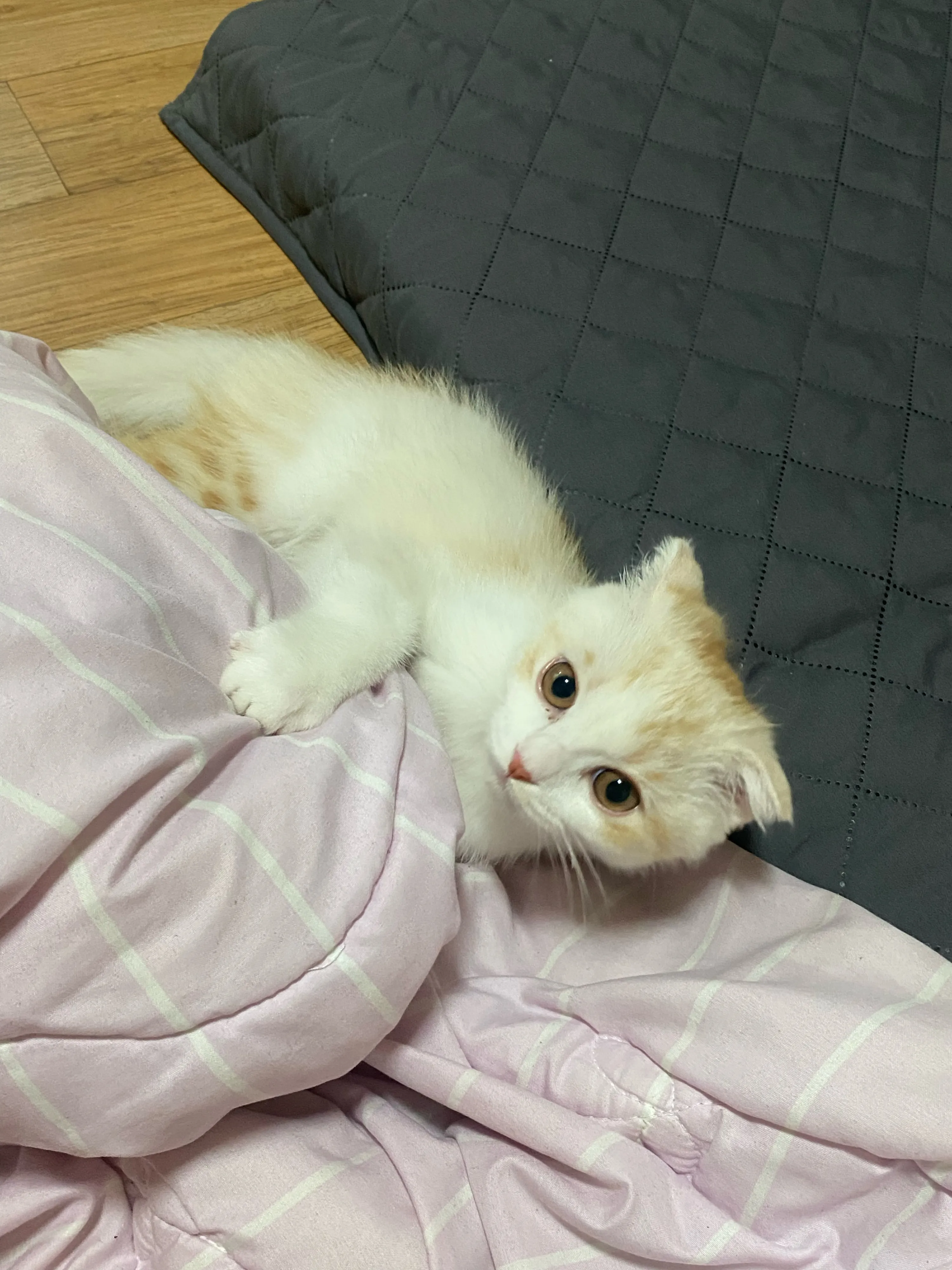 3번째 파일
