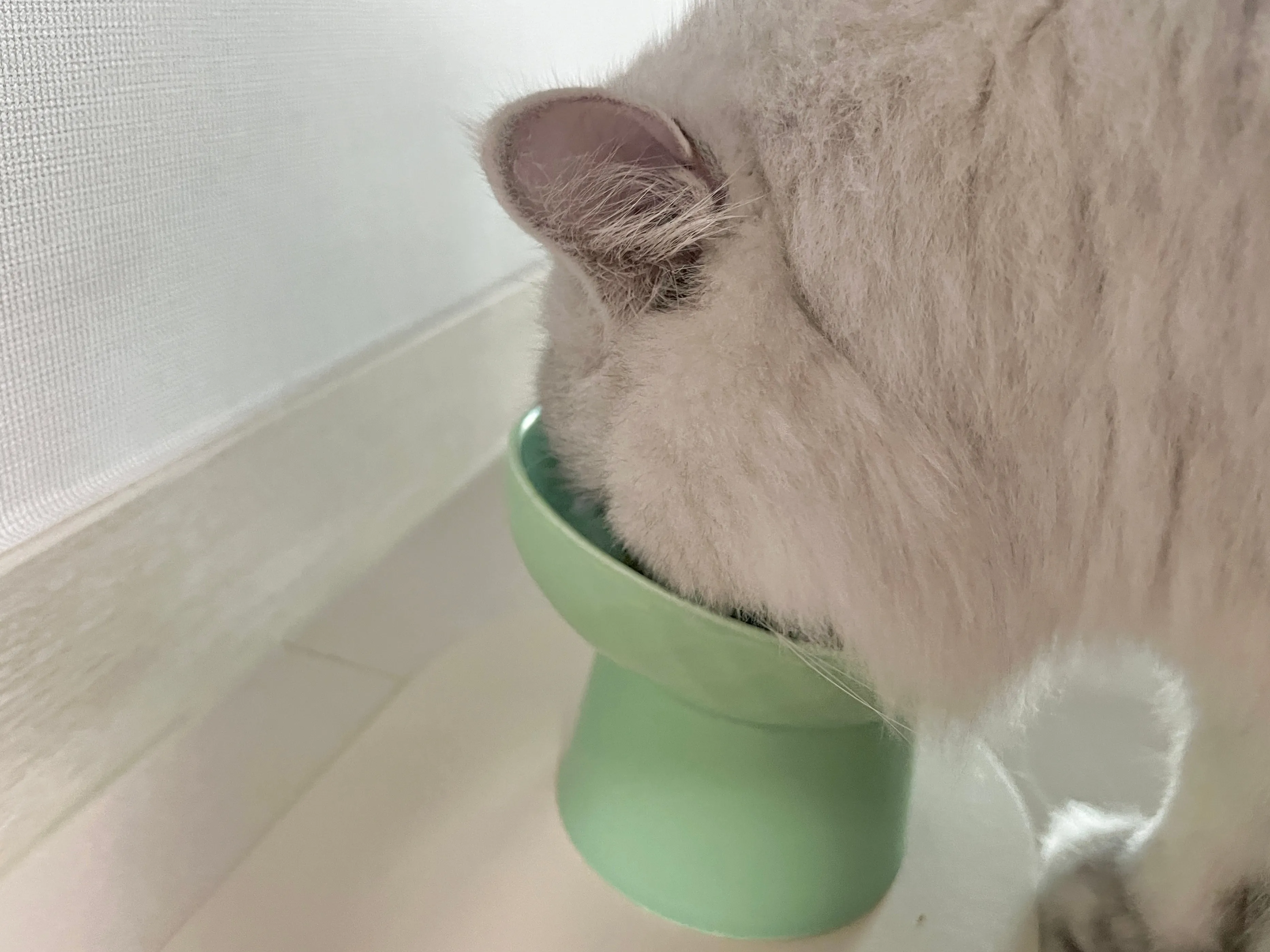 5번째 파일