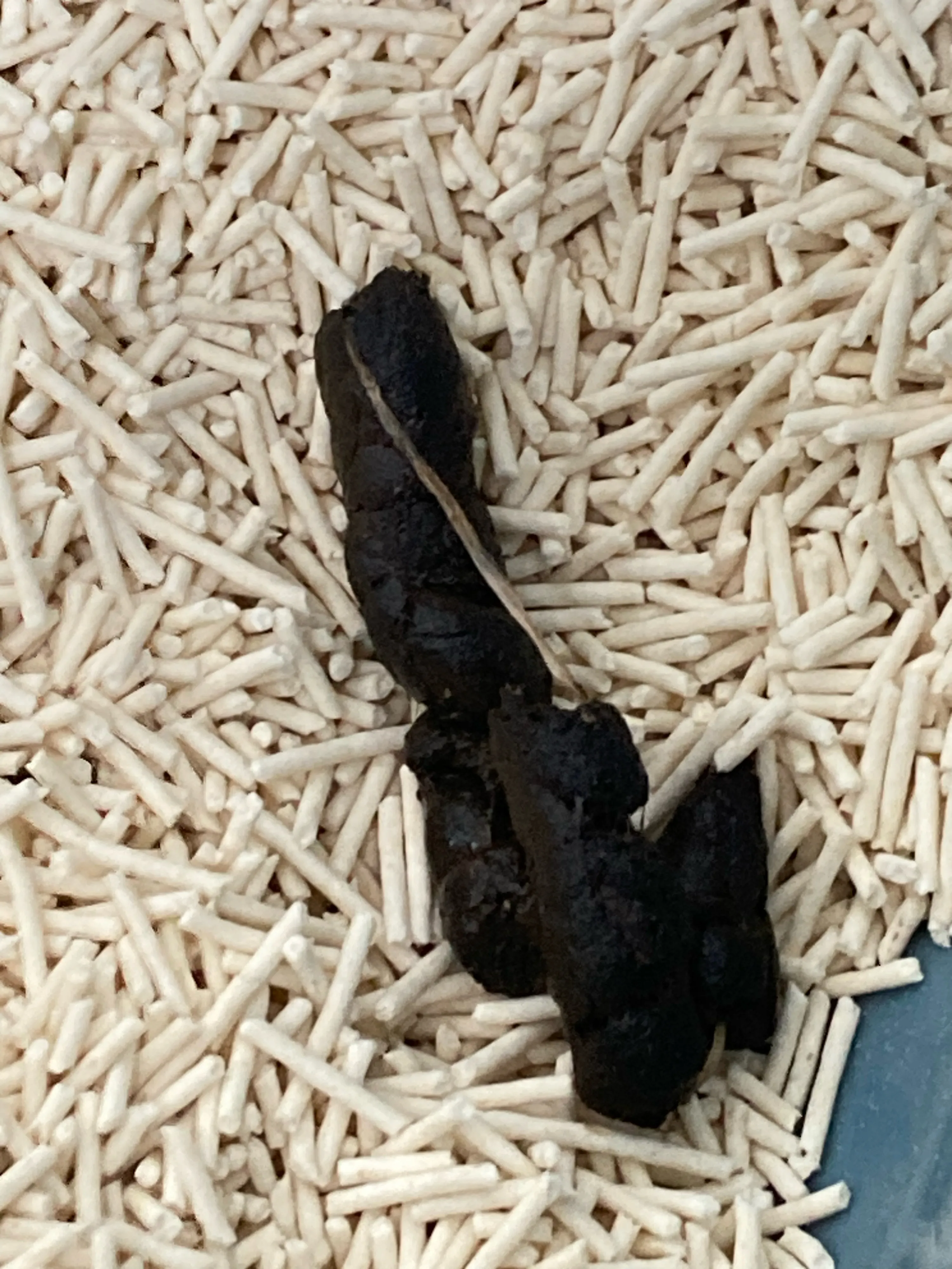 1번째 파일