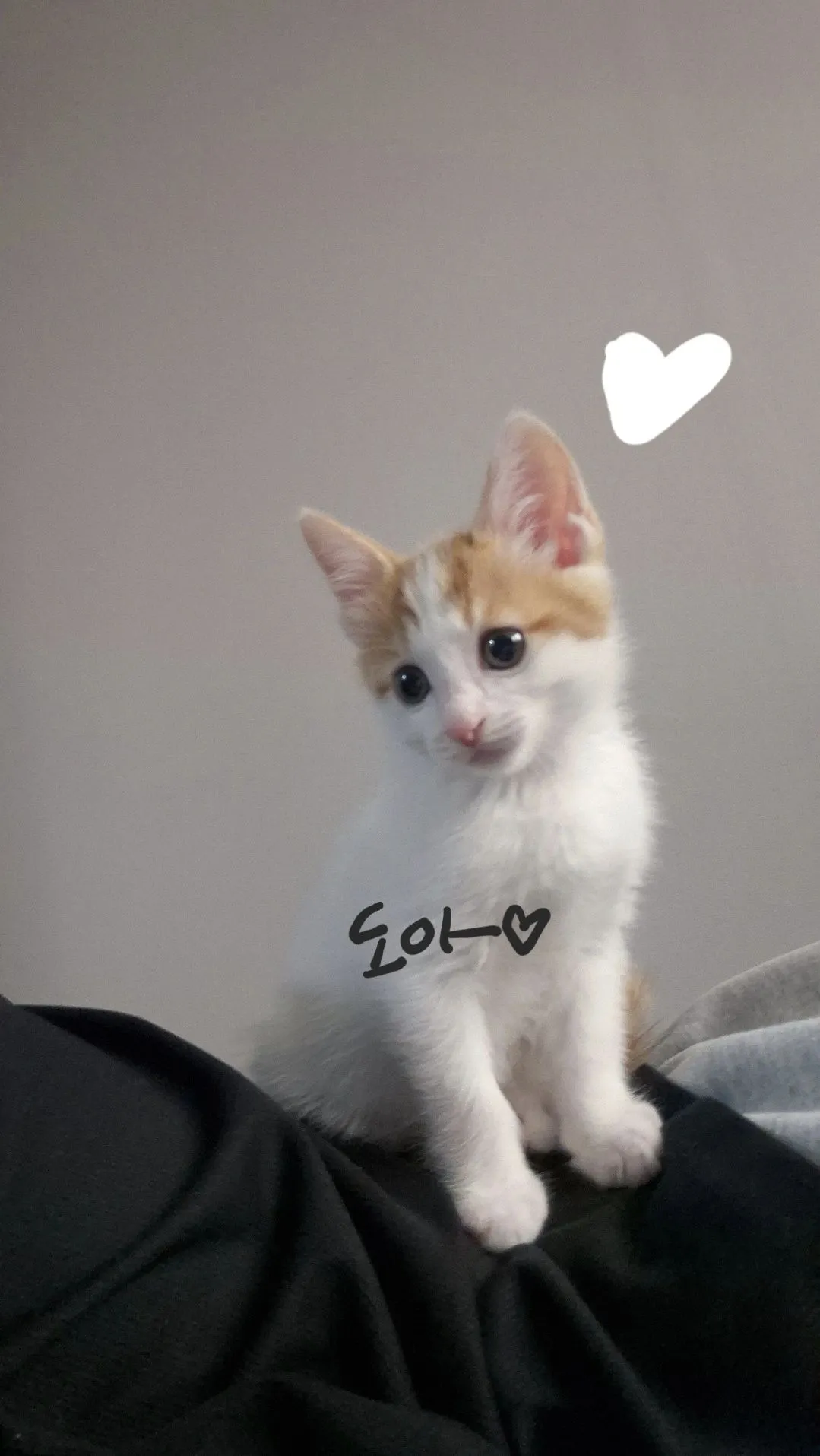 1번째 파일