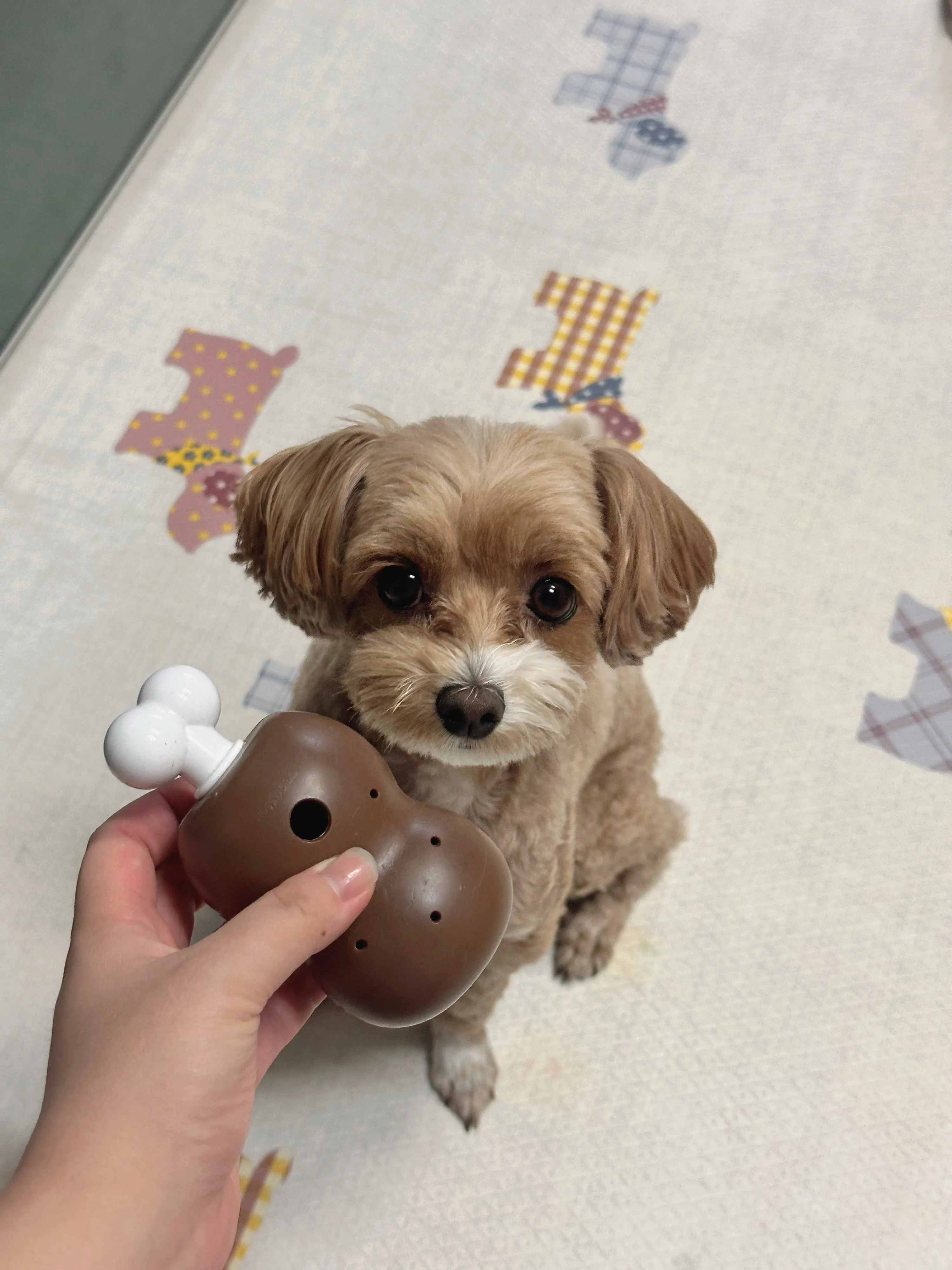 1번째 파일