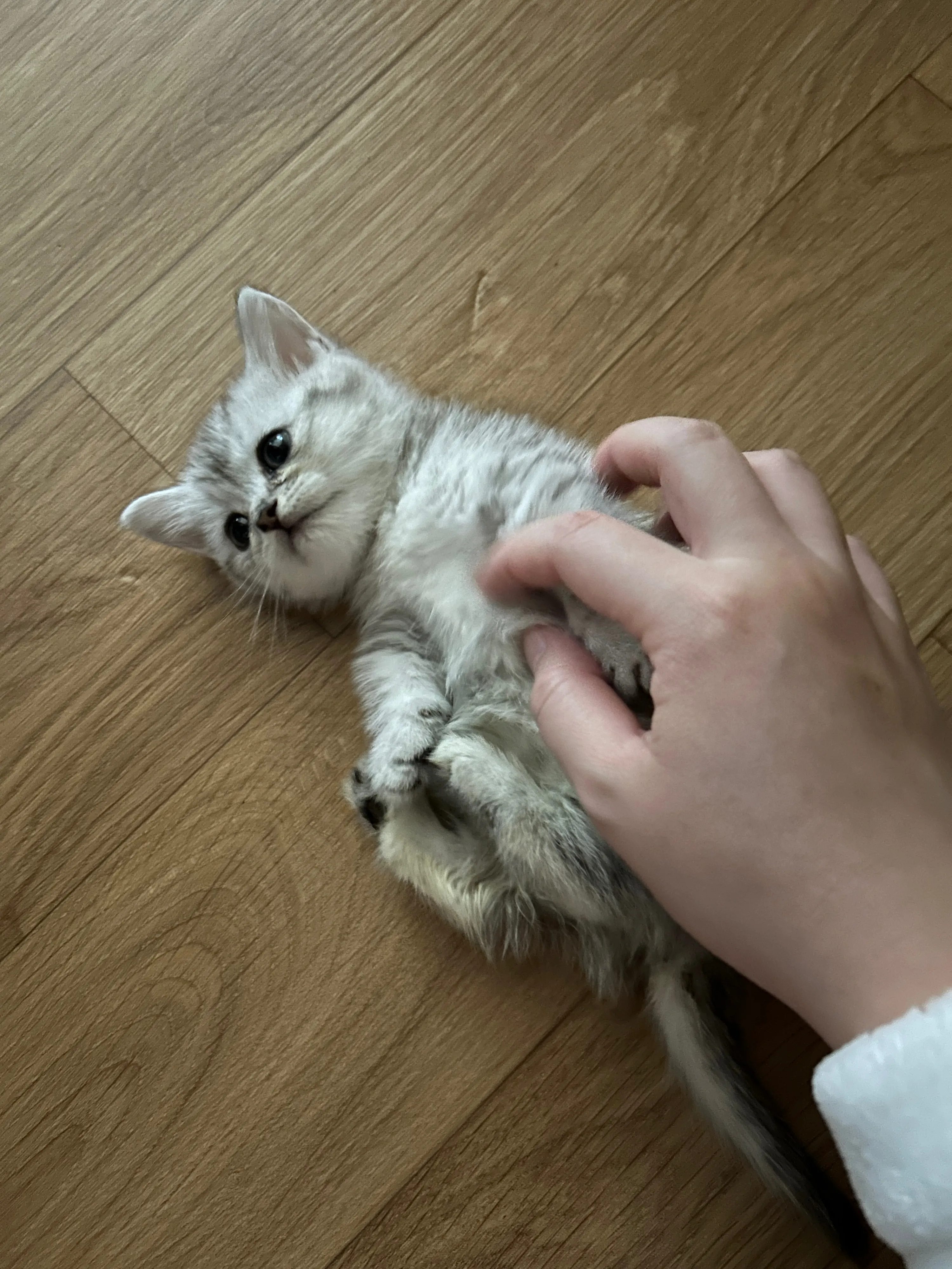 2번째 파일