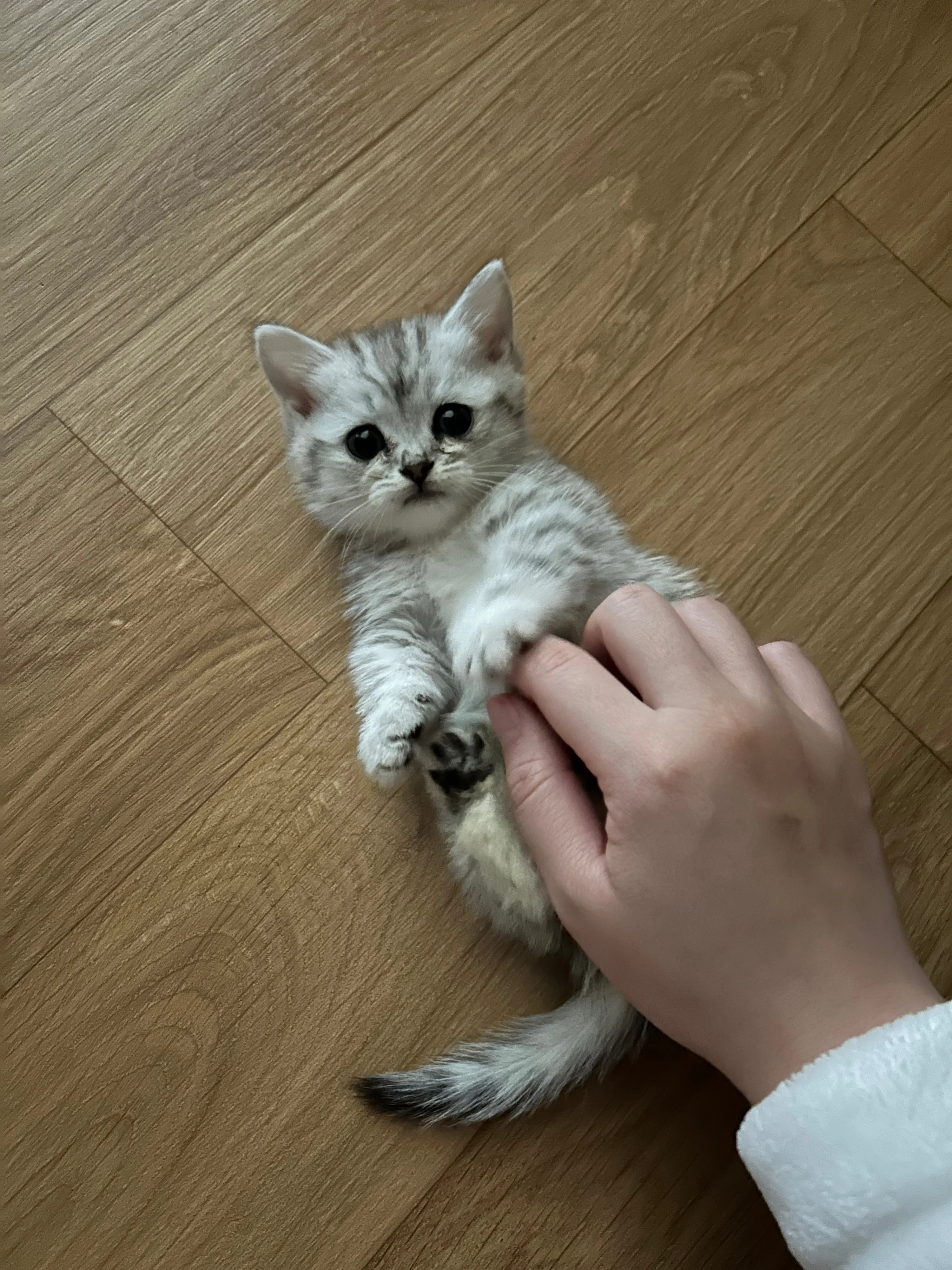 1번째 파일