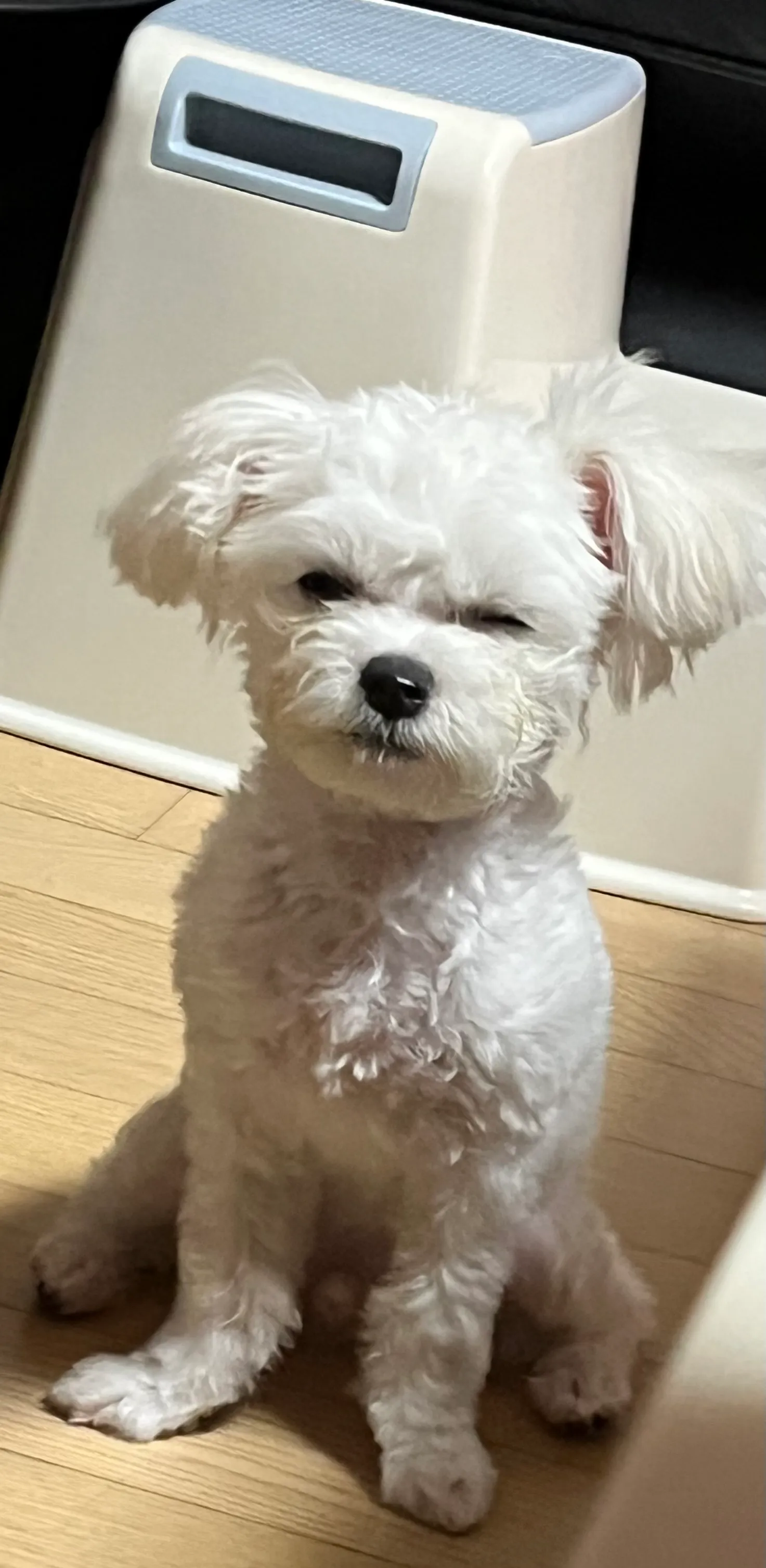1번째 파일