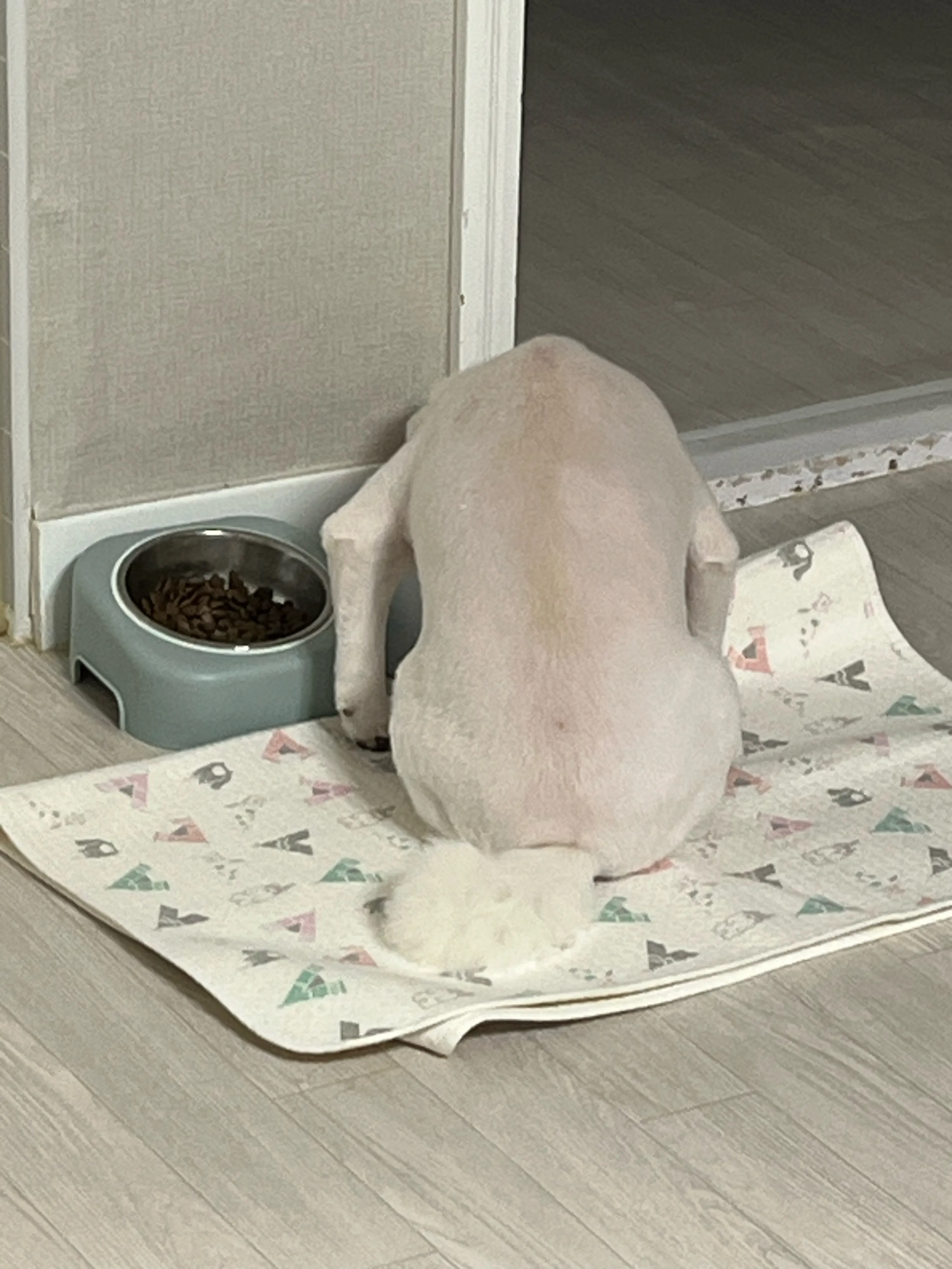 2번째 파일