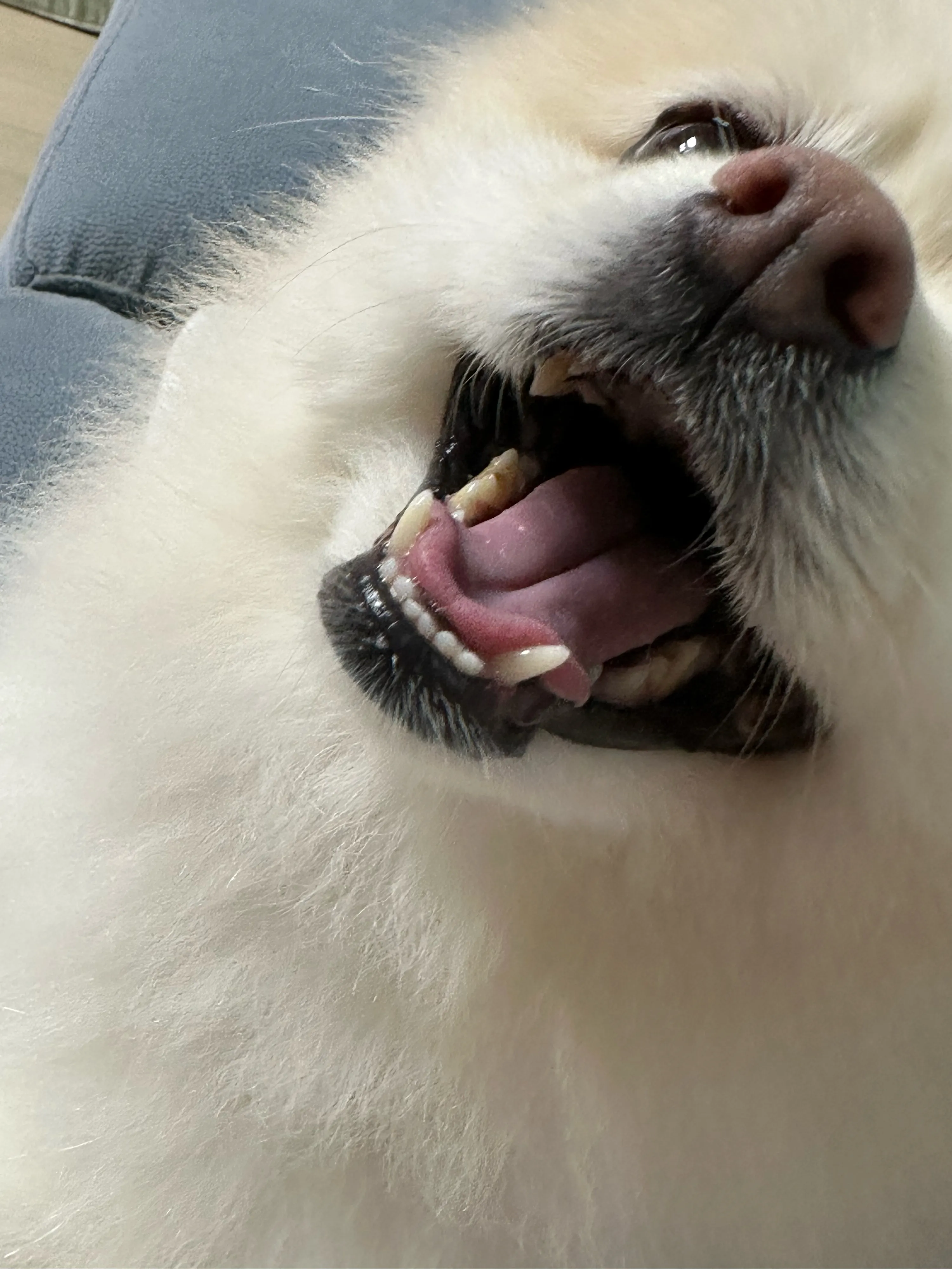 2번째 파일
