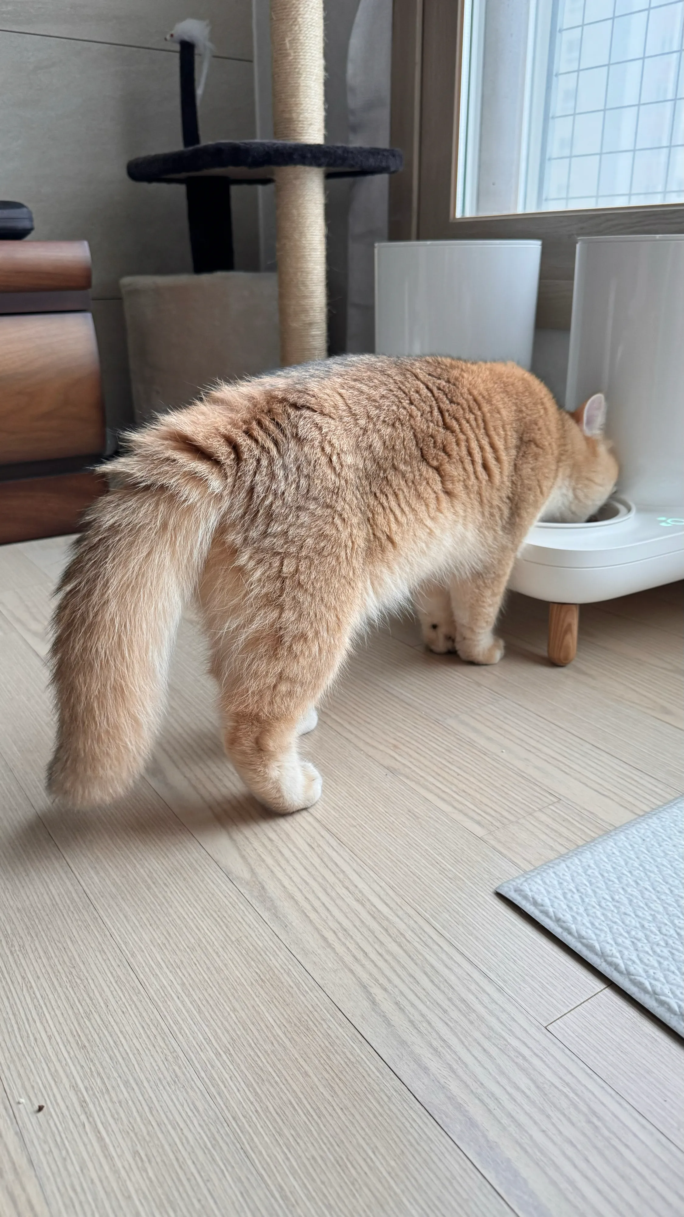 1번째 파일