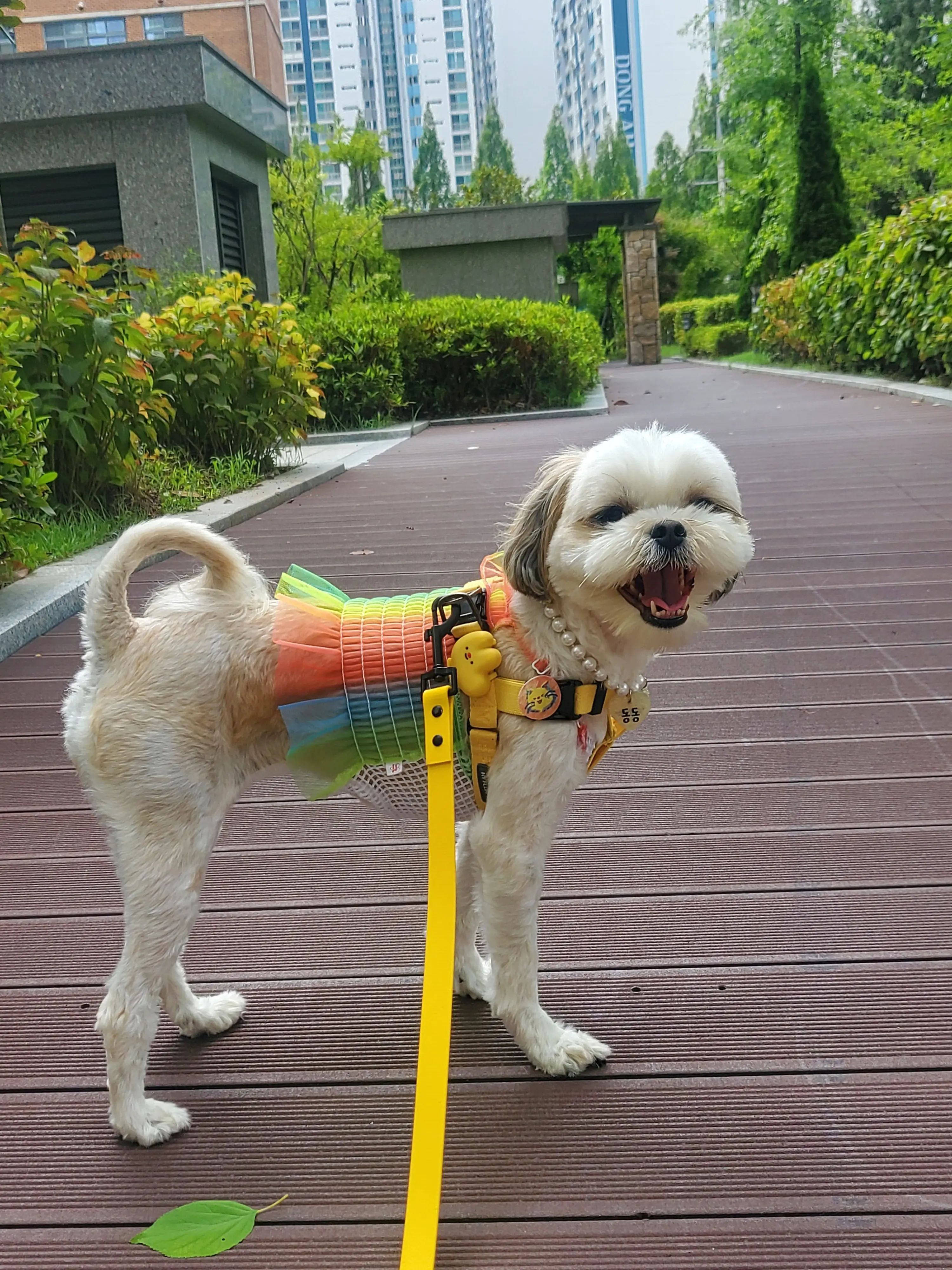 1번째 파일
