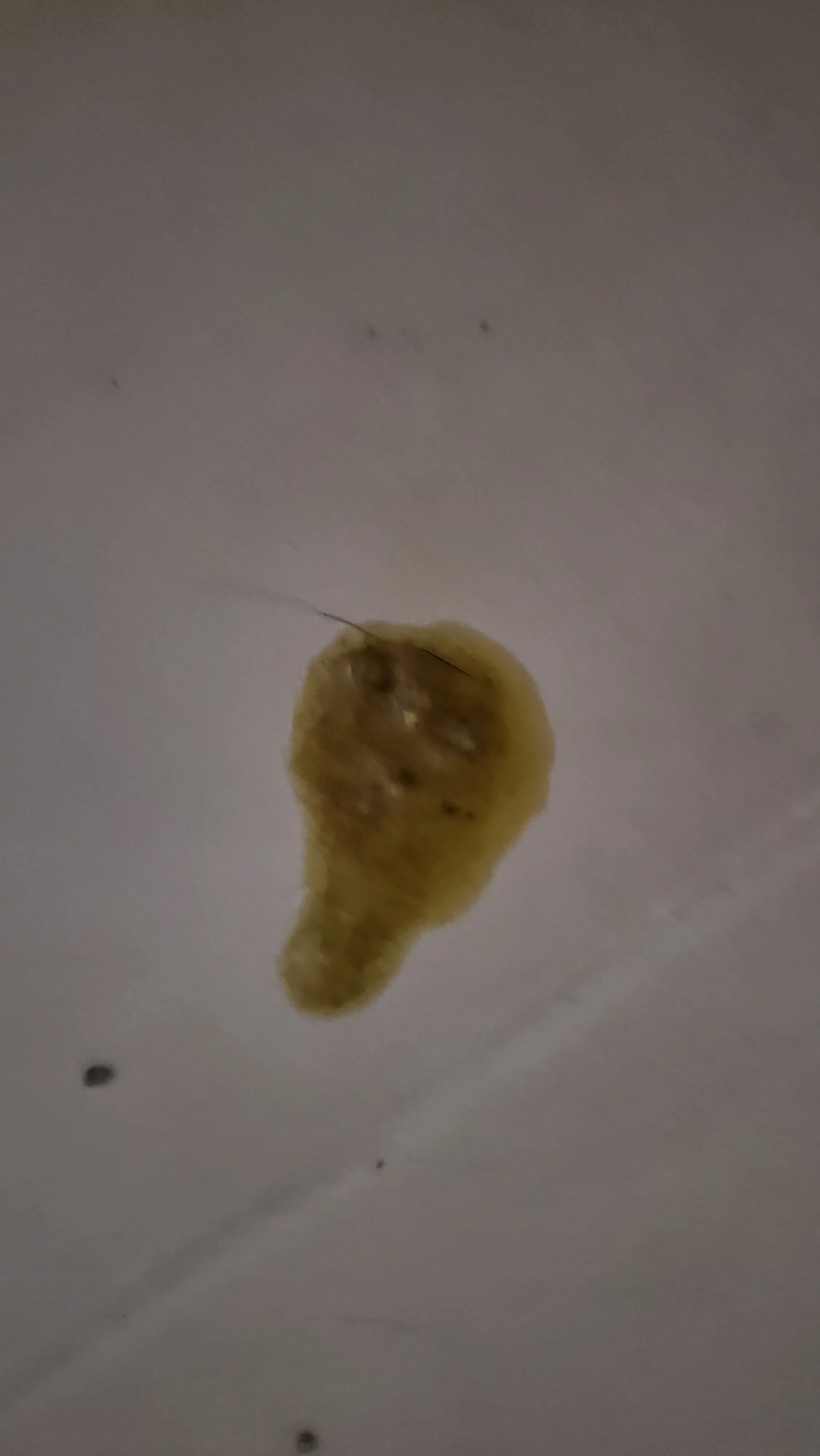 2번째 파일