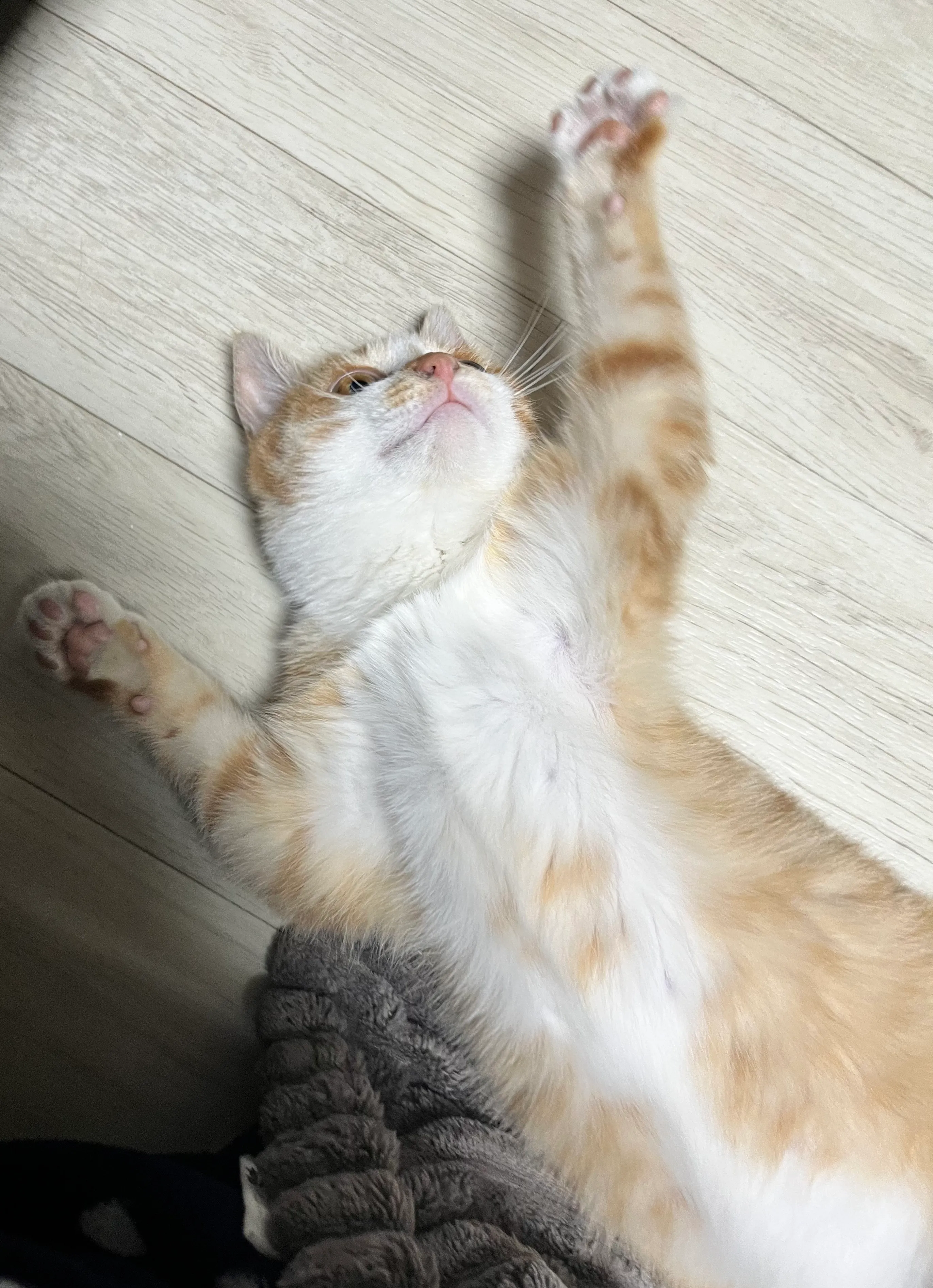 1번째 파일
