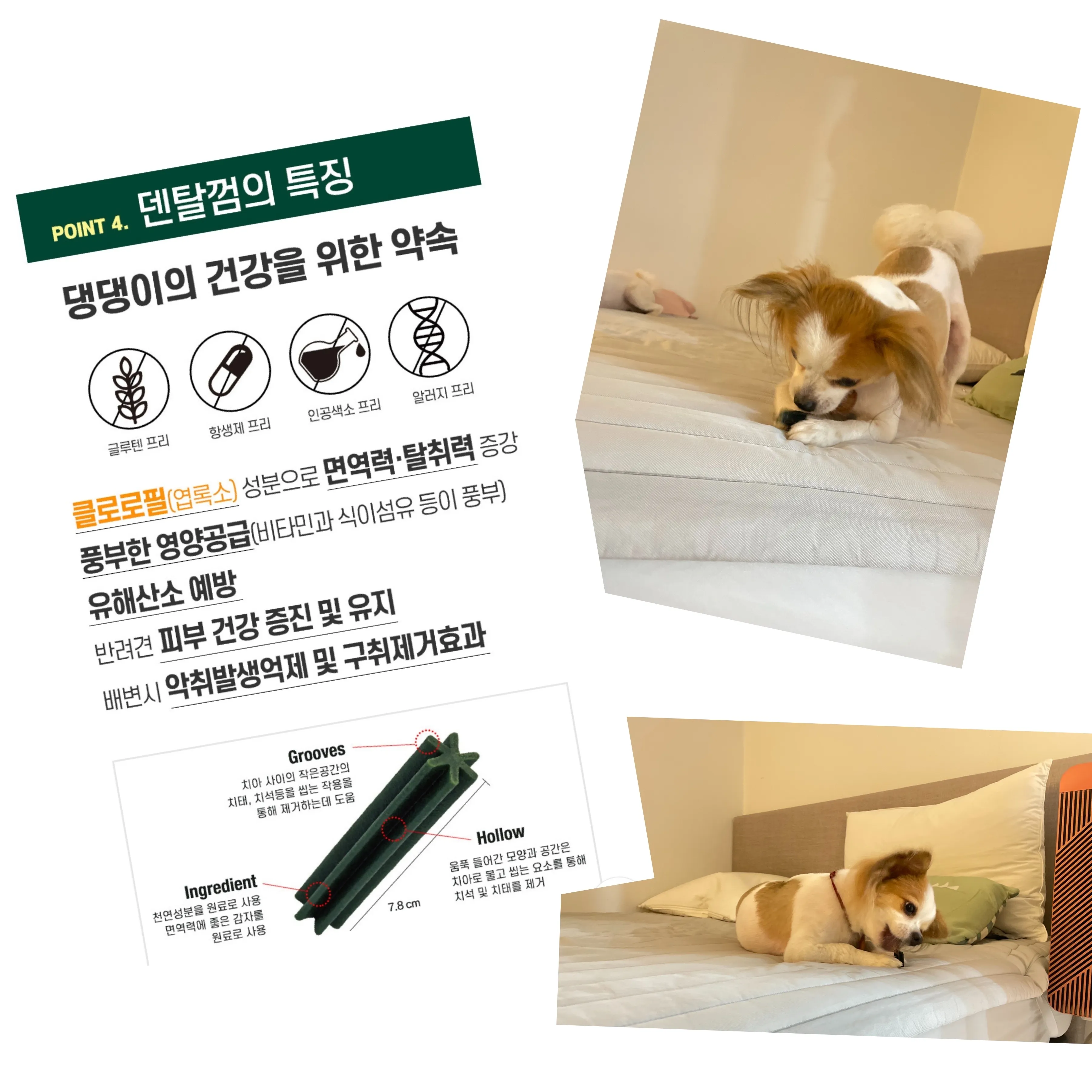 5번째 파일