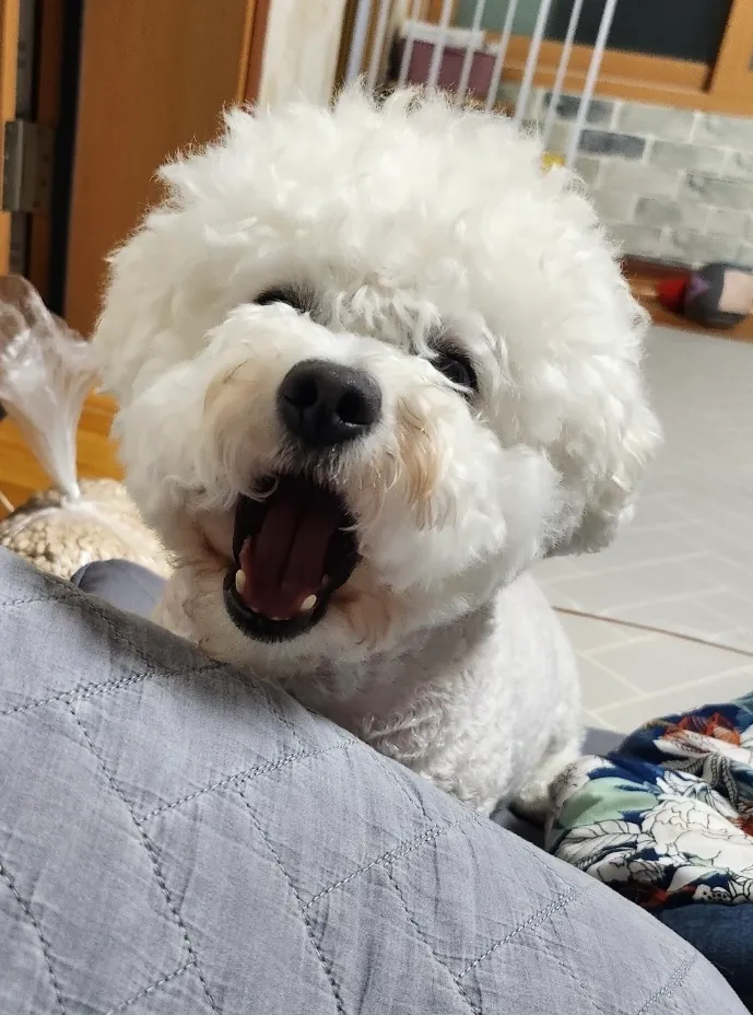 1번째 파일