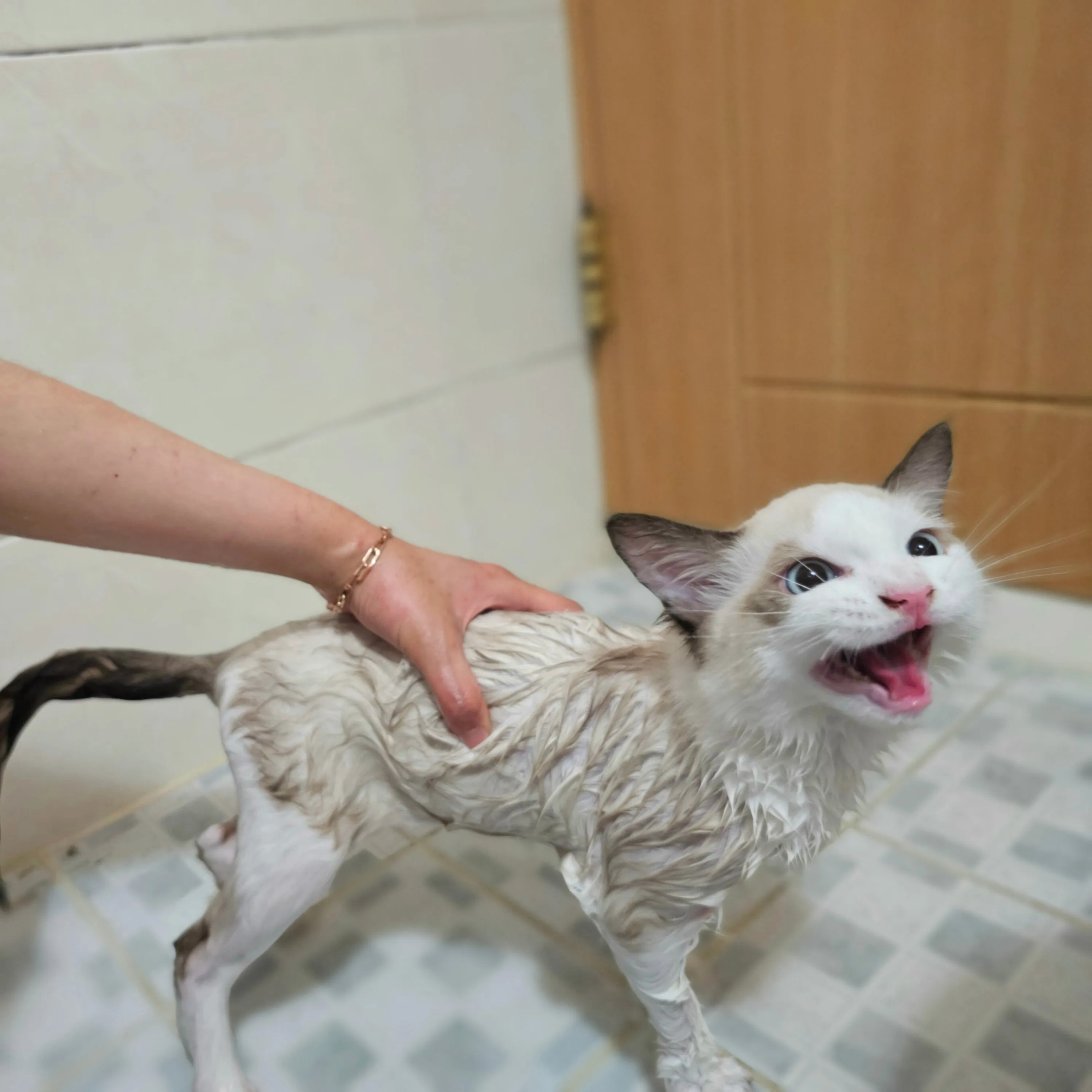 2번째 파일