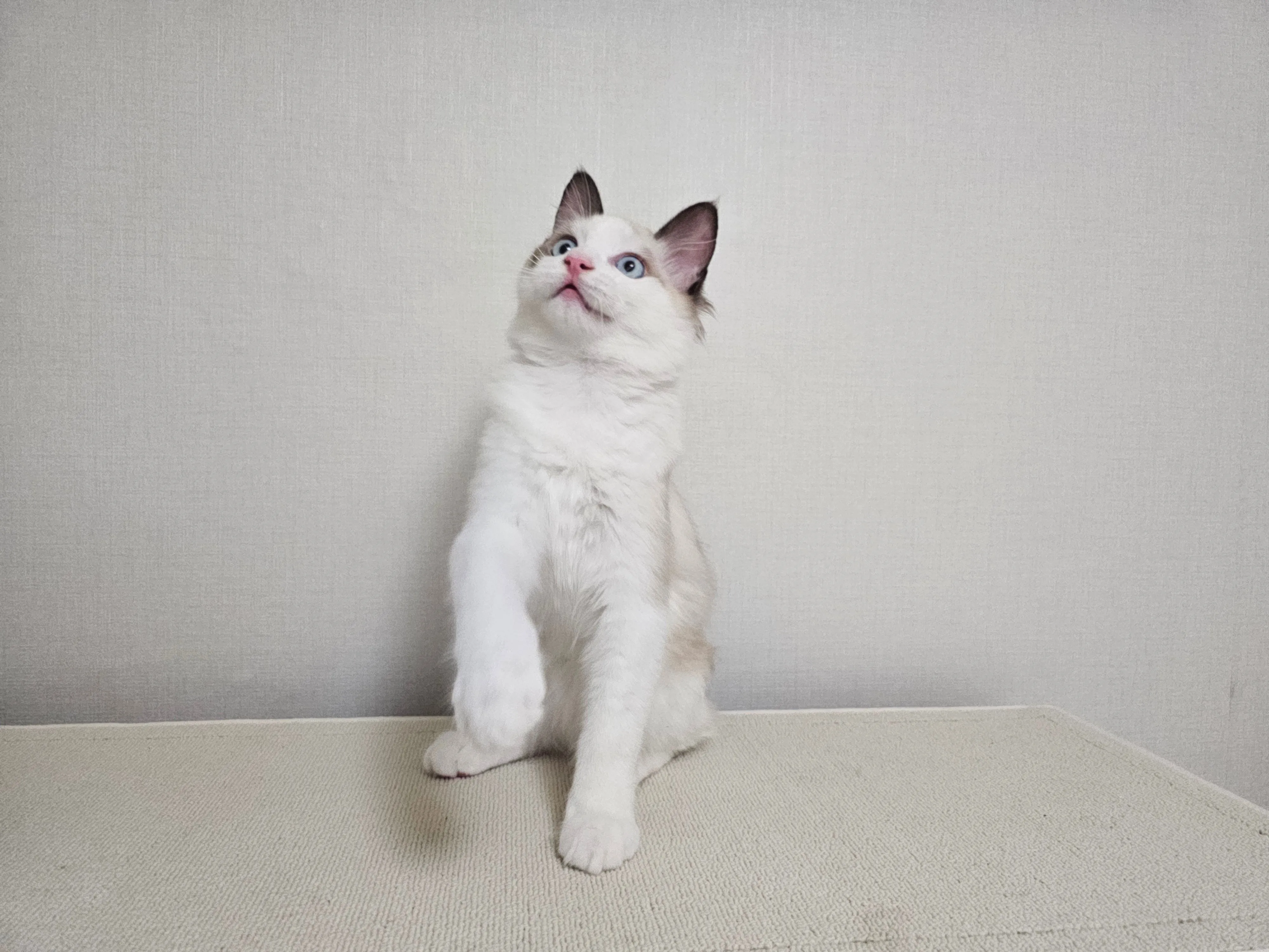5번째 파일