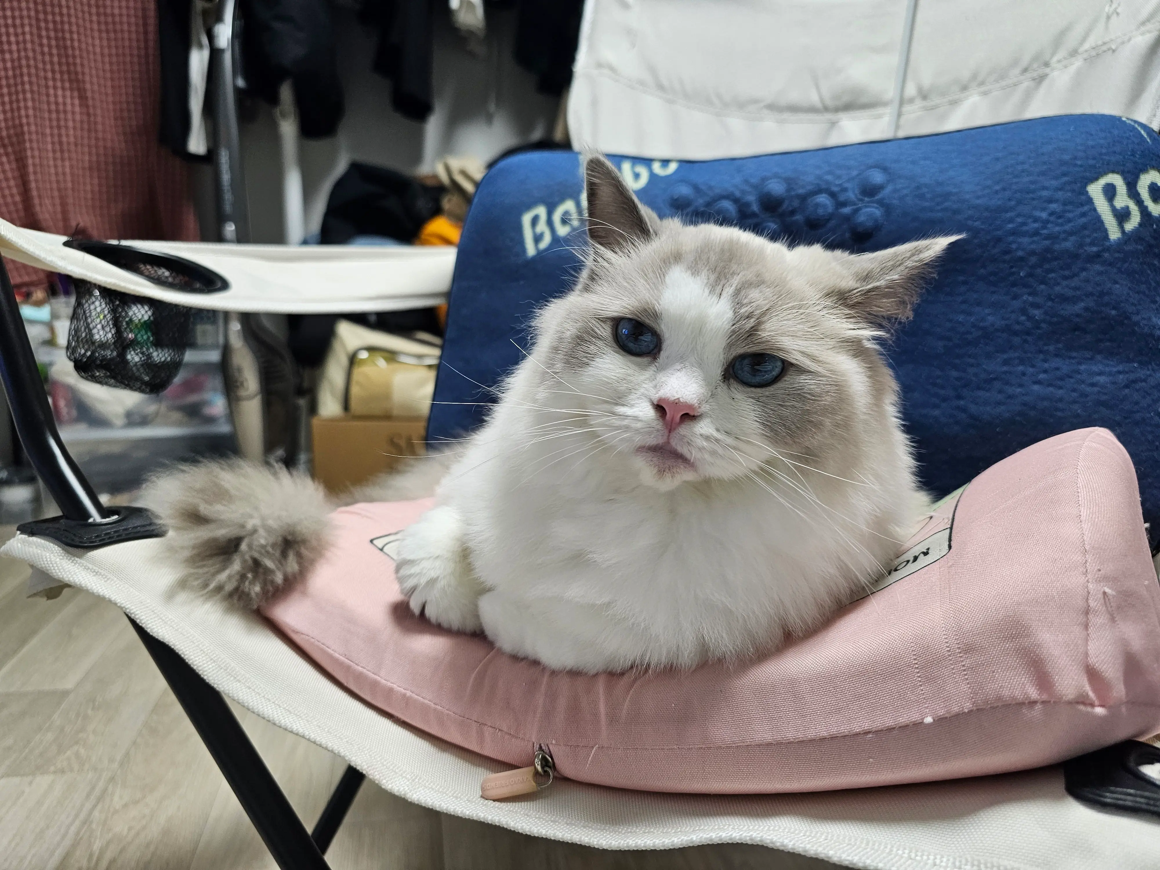 1번째 파일
