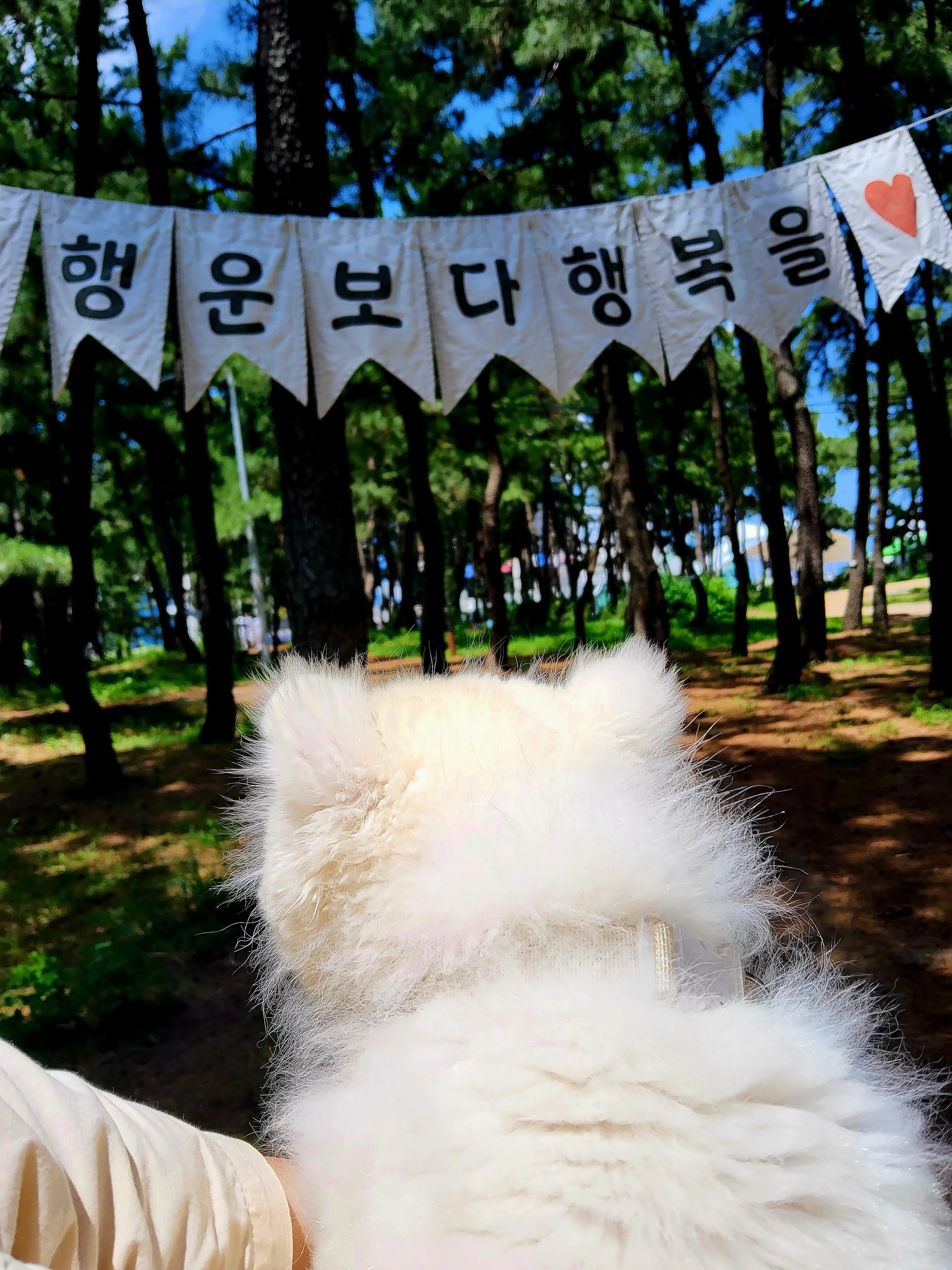 1번째 파일