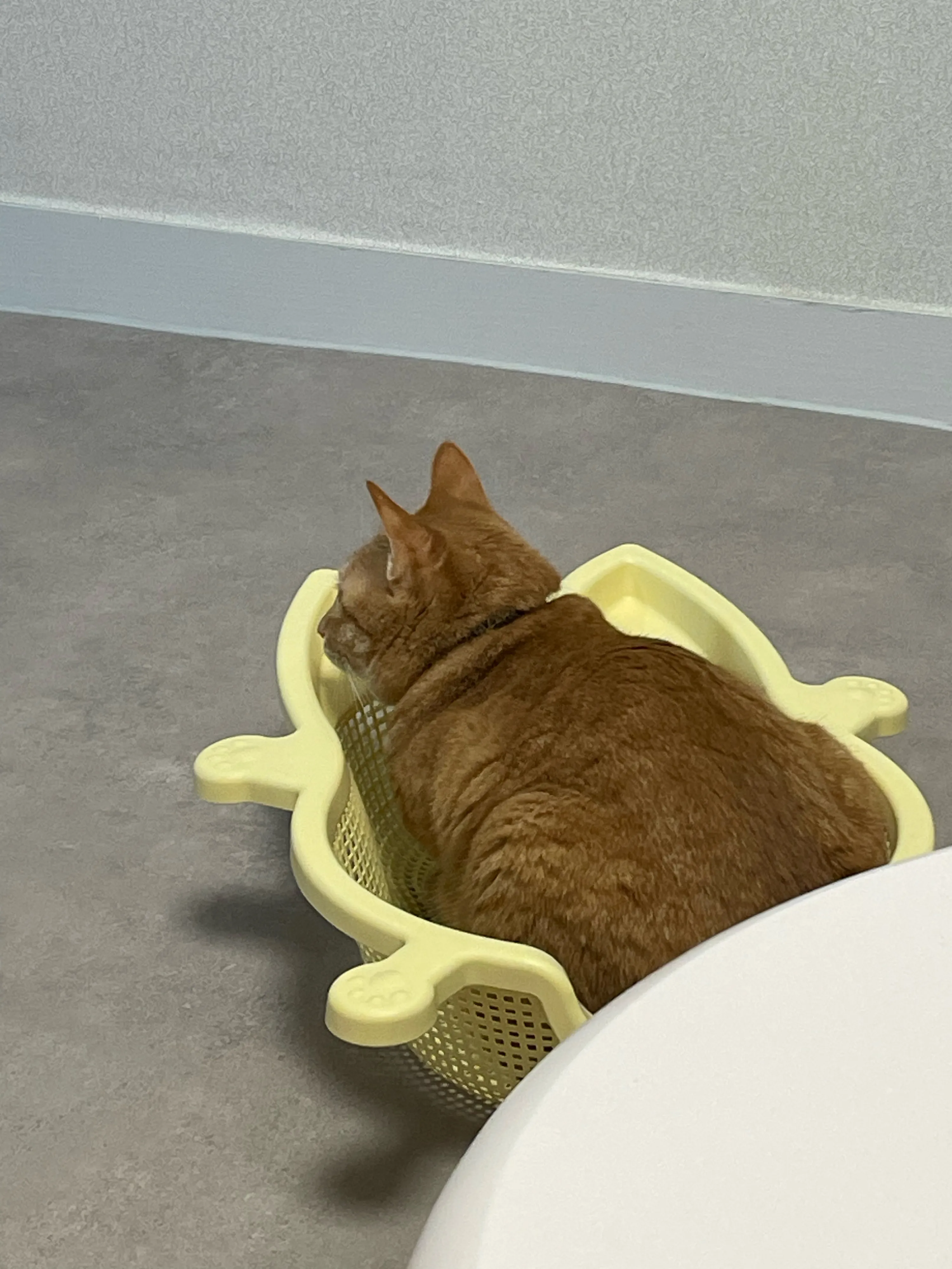 1번째 파일