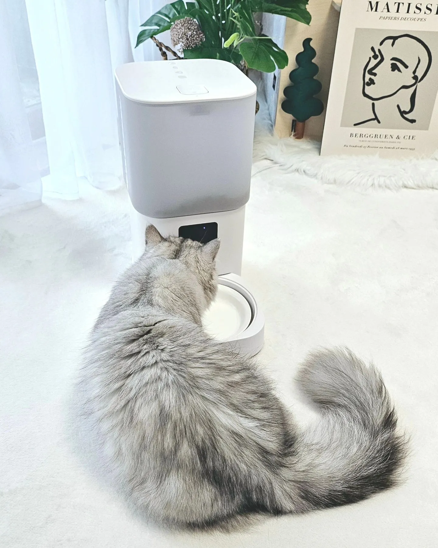 2번째 파일