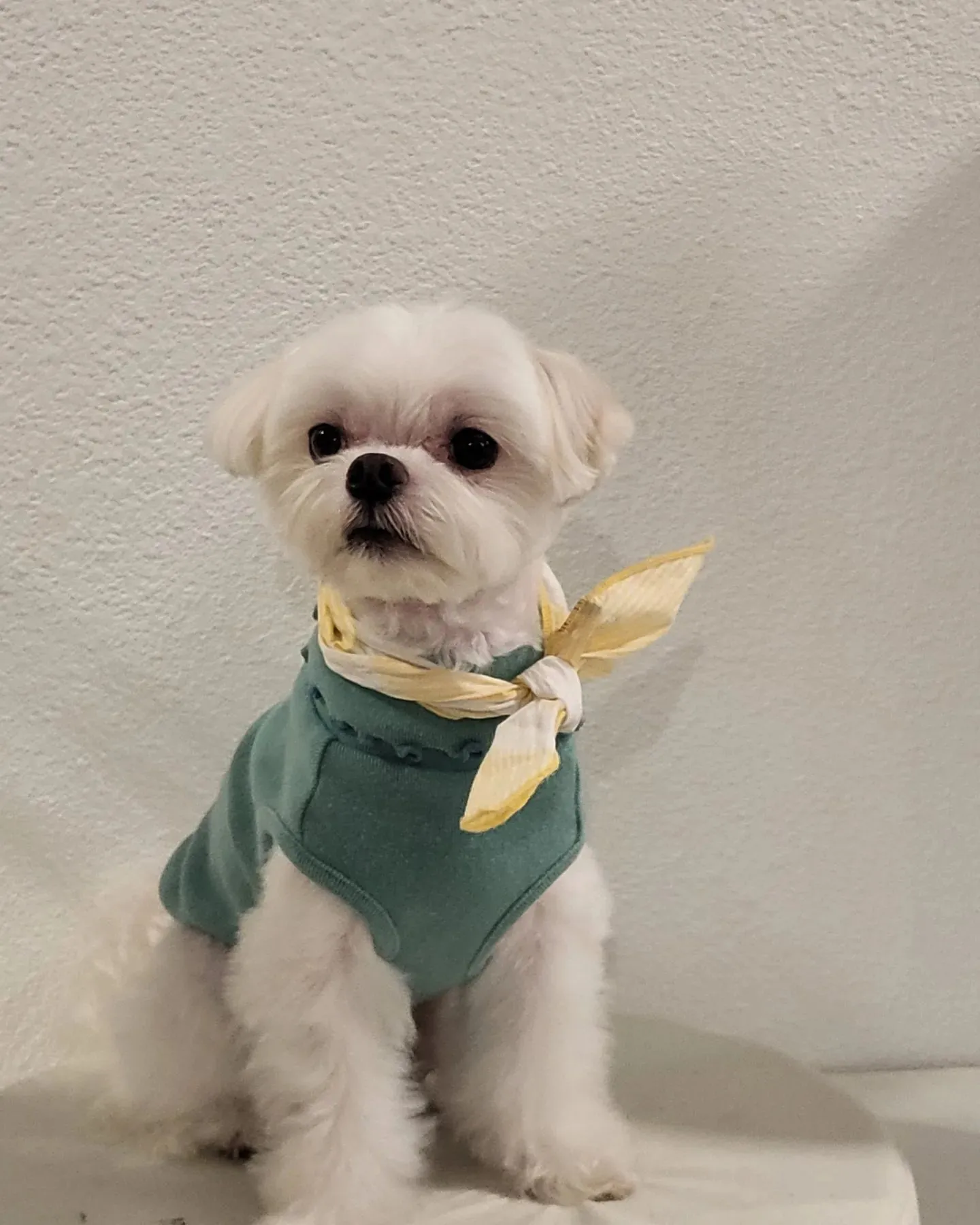 4번째 파일