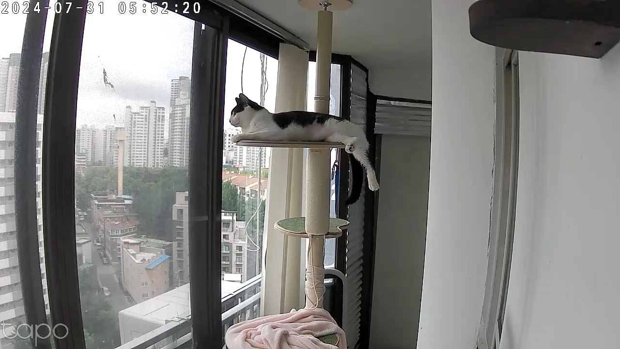1번째 파일
