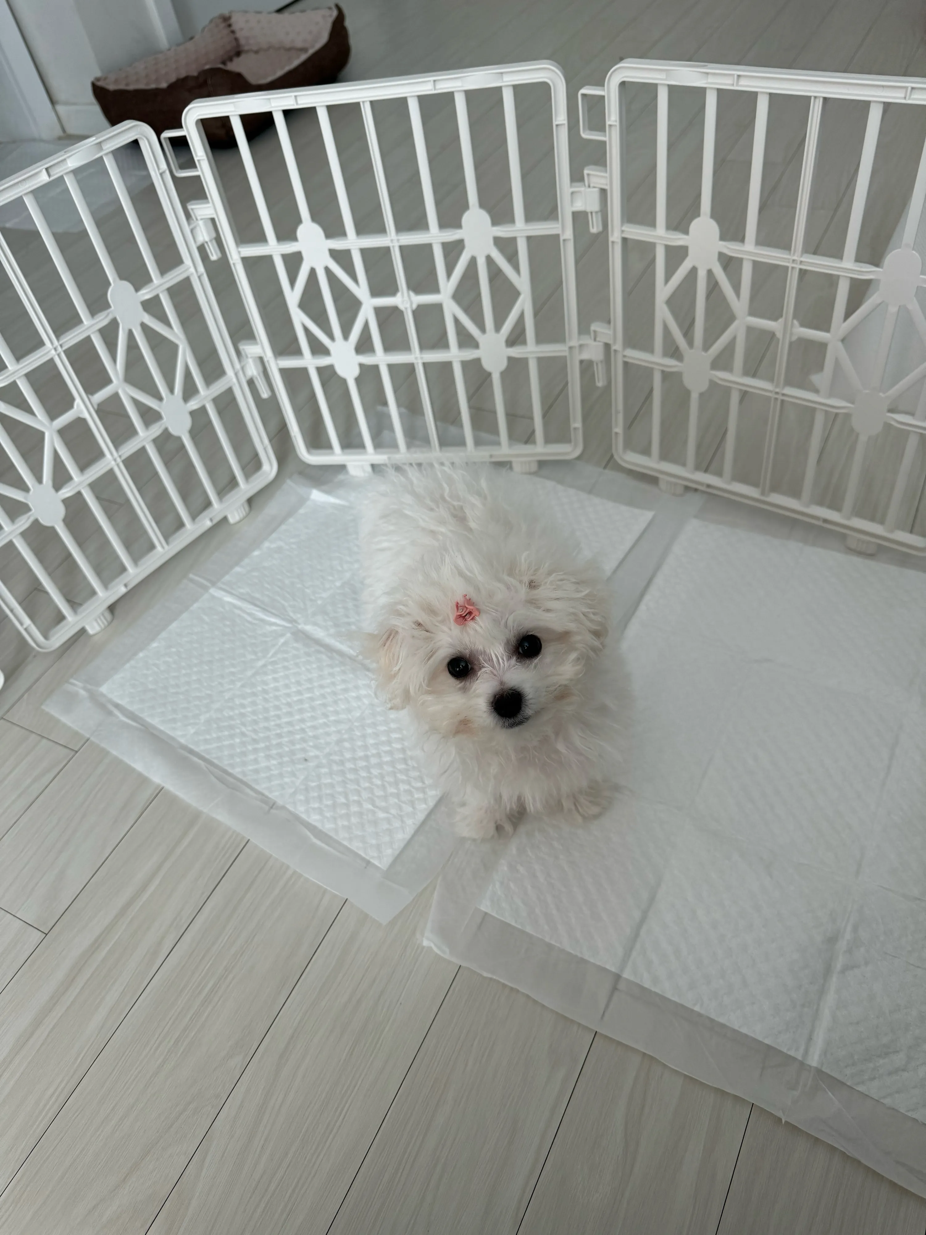 1번째 파일