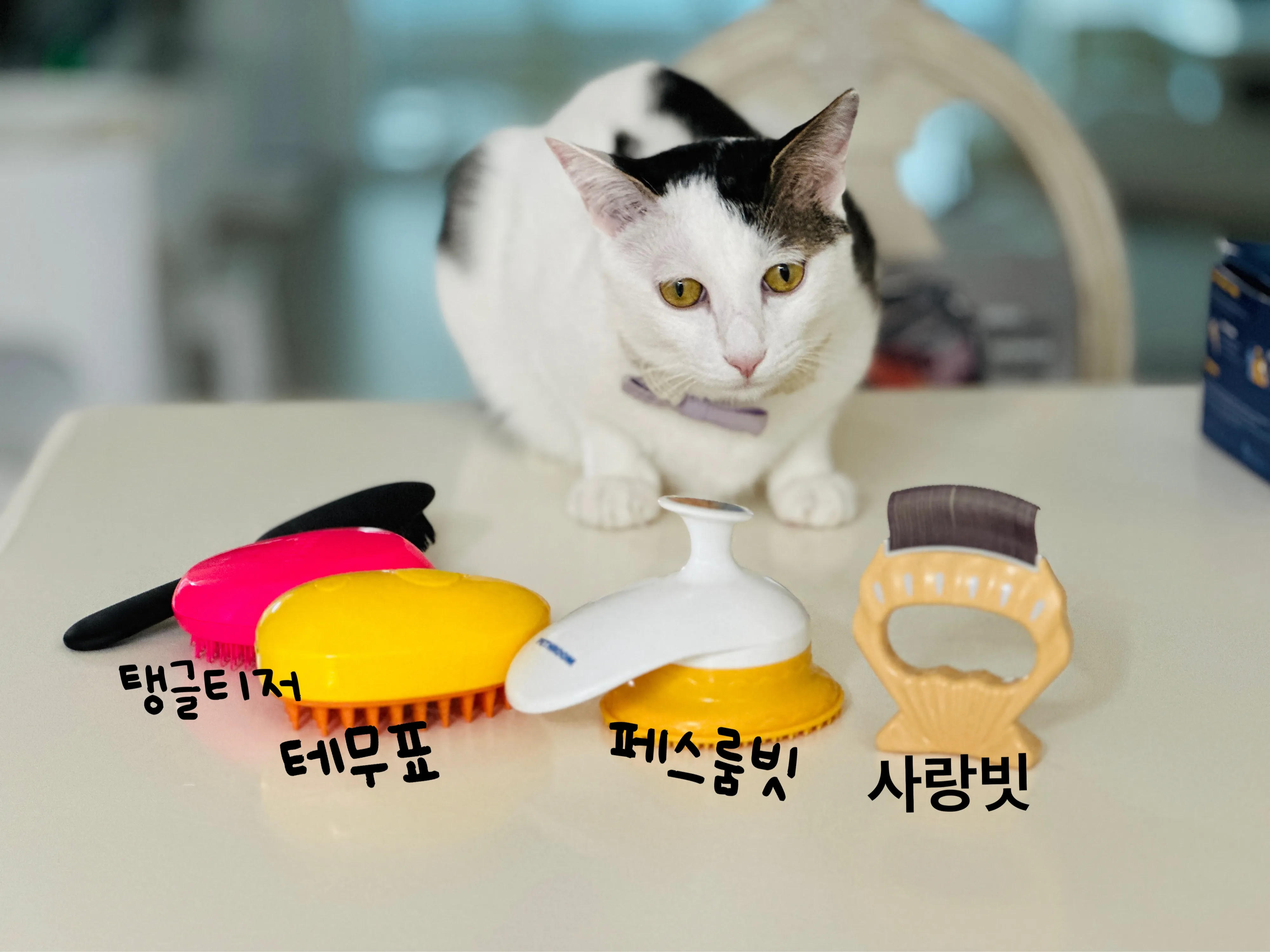 1번째 파일