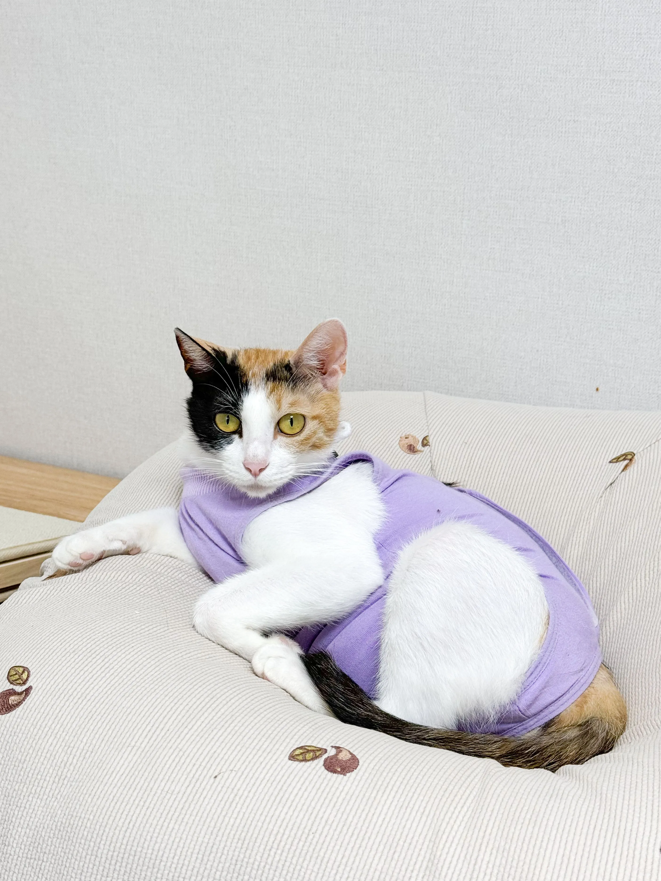 2번째 파일