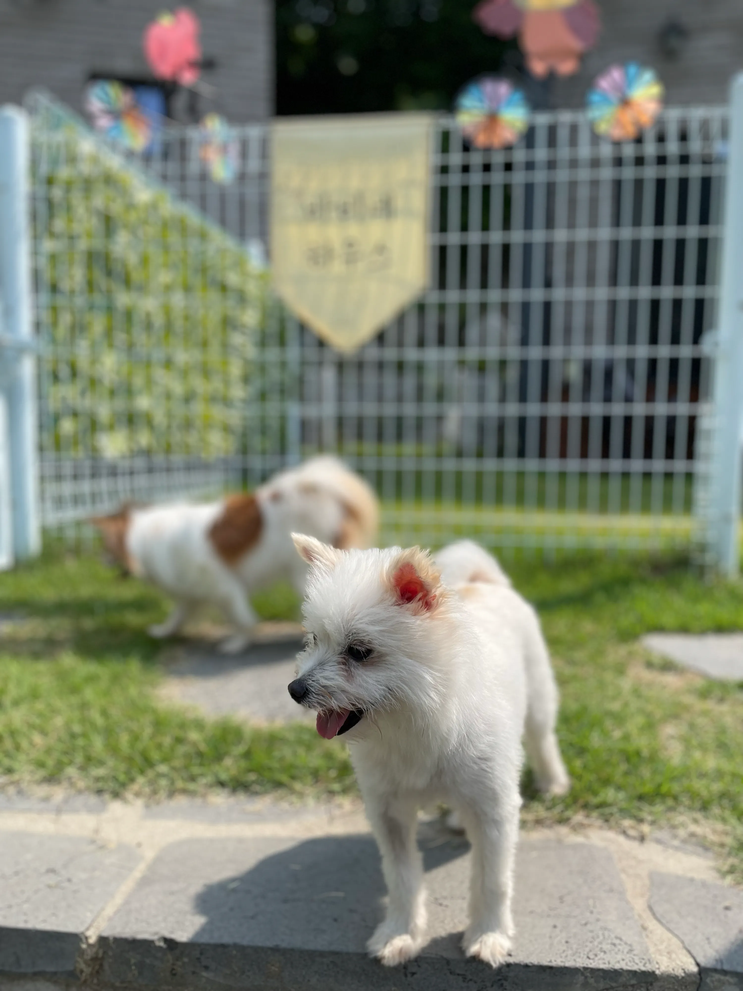2번째 파일