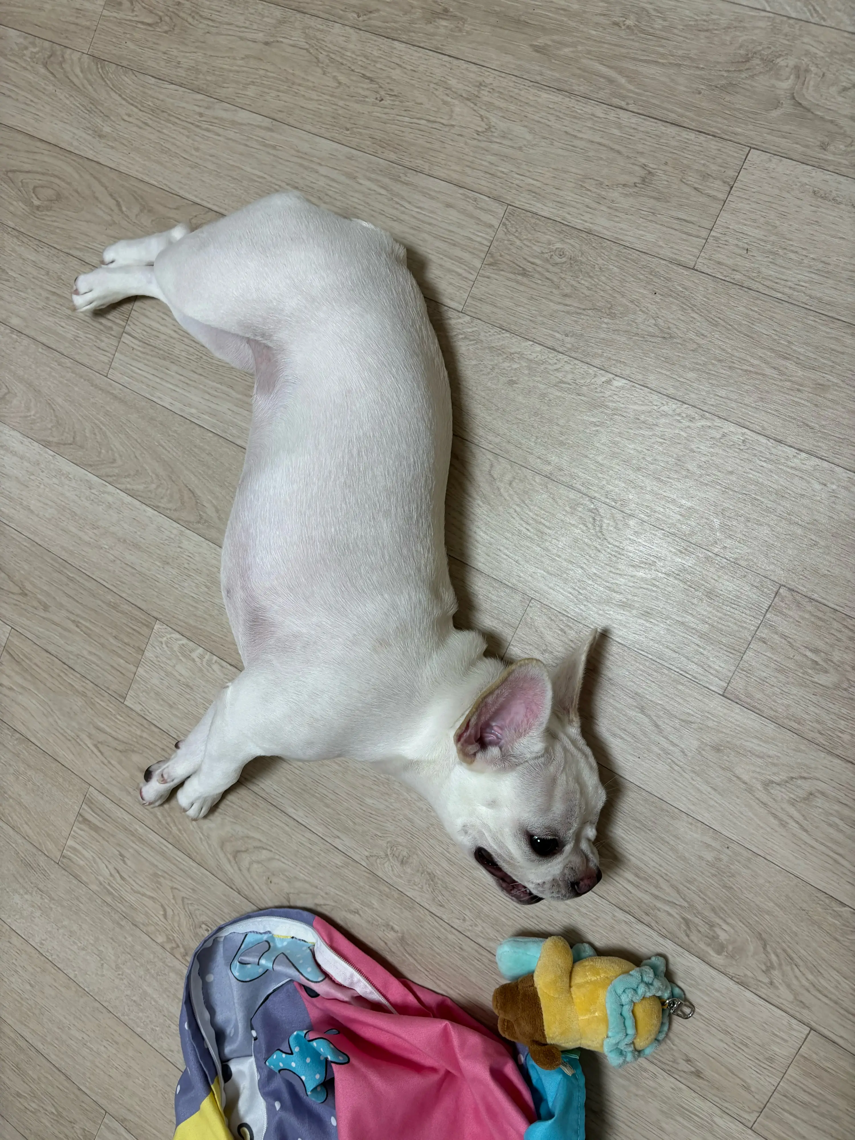 1번째 파일
