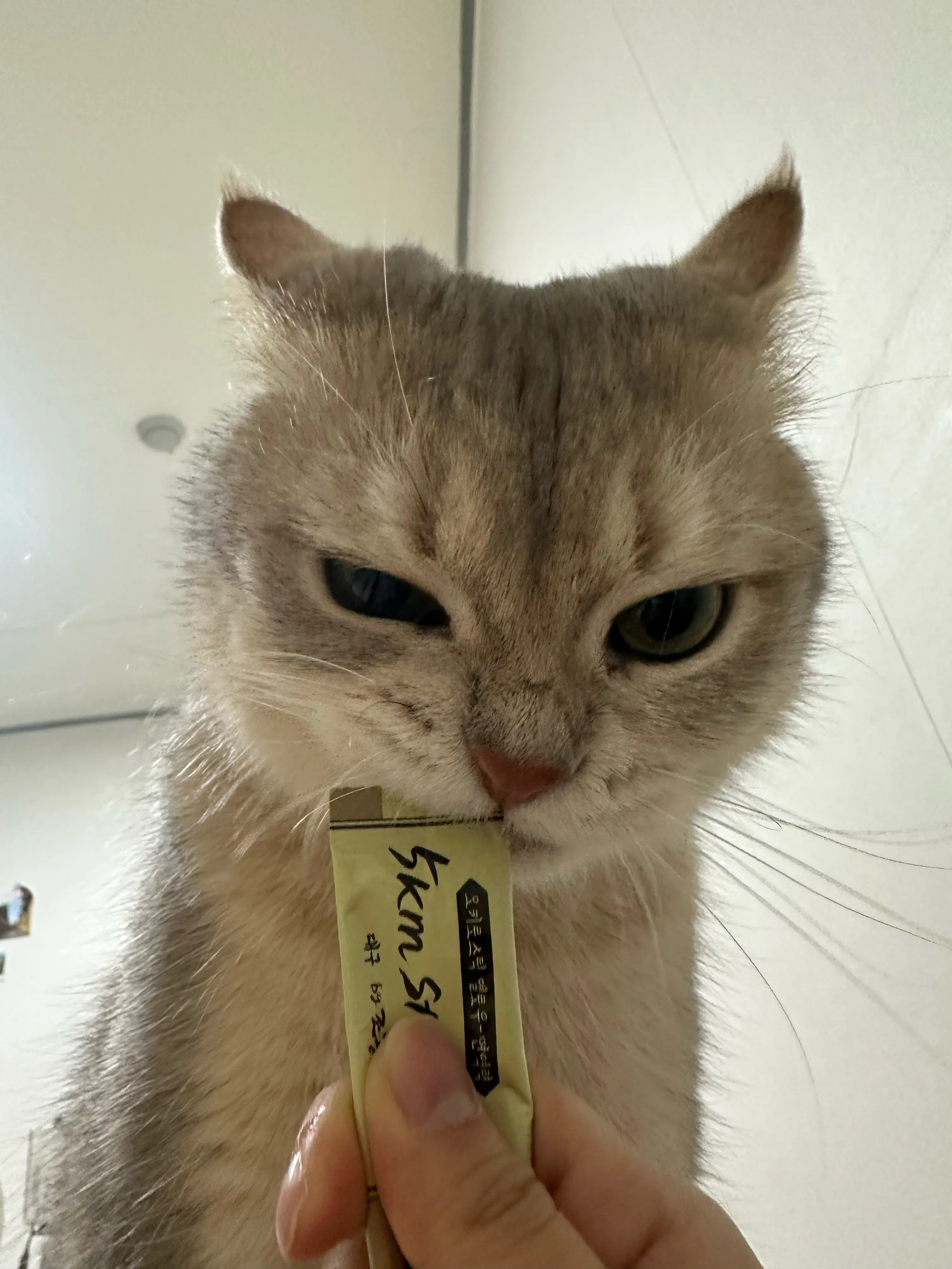 1번째 파일